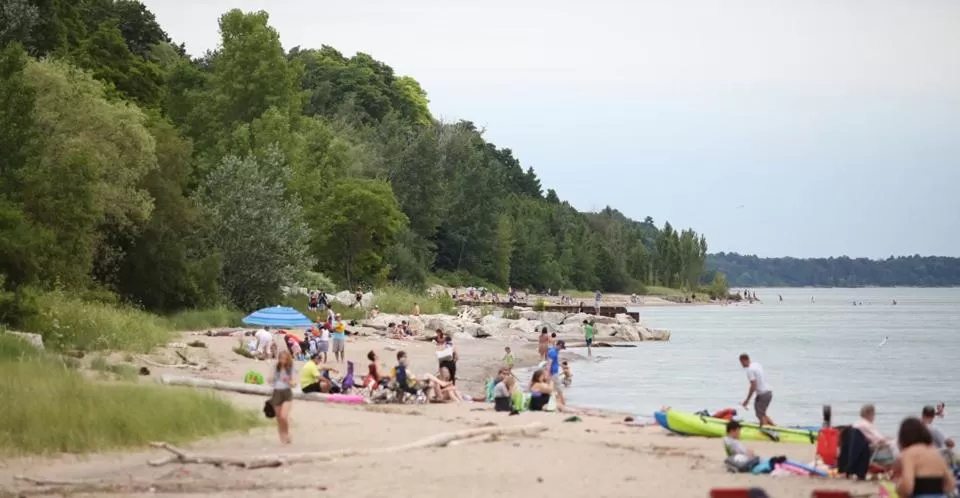 Pemberley House Bed and Breakfast