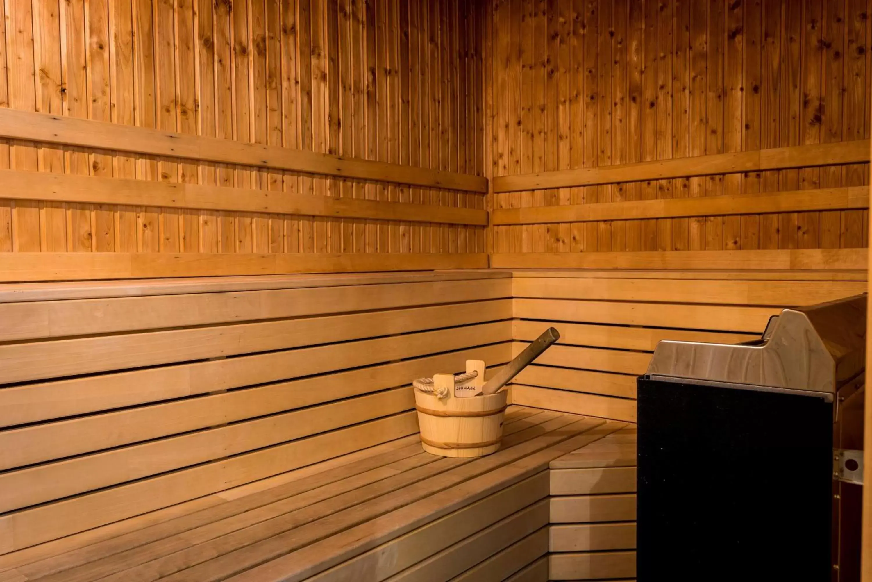 Sauna in Scandic Swania