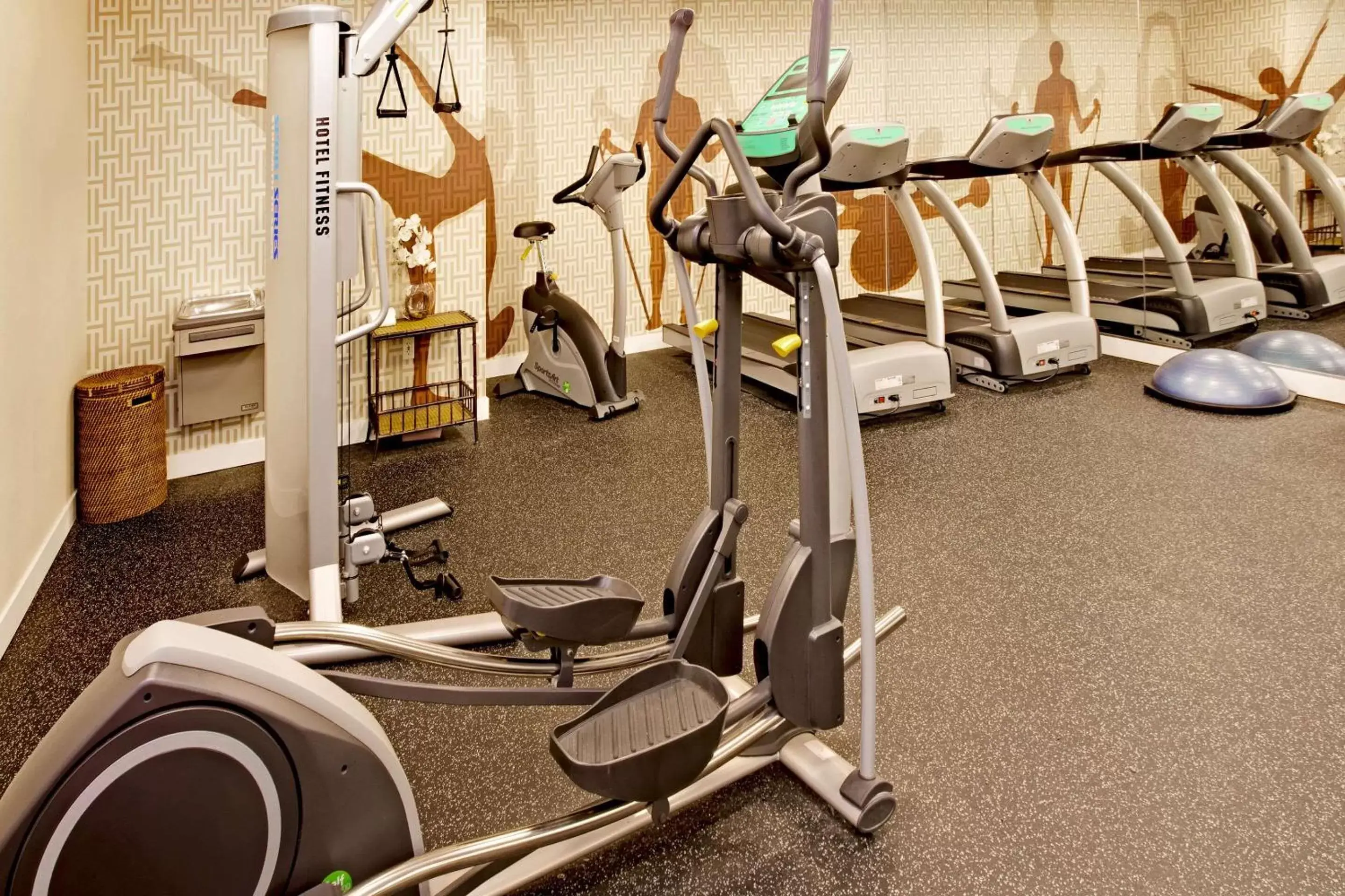 Fitness centre/facilities, Fitness Center/Facilities in MainStay Suites Chicago Schaumburg