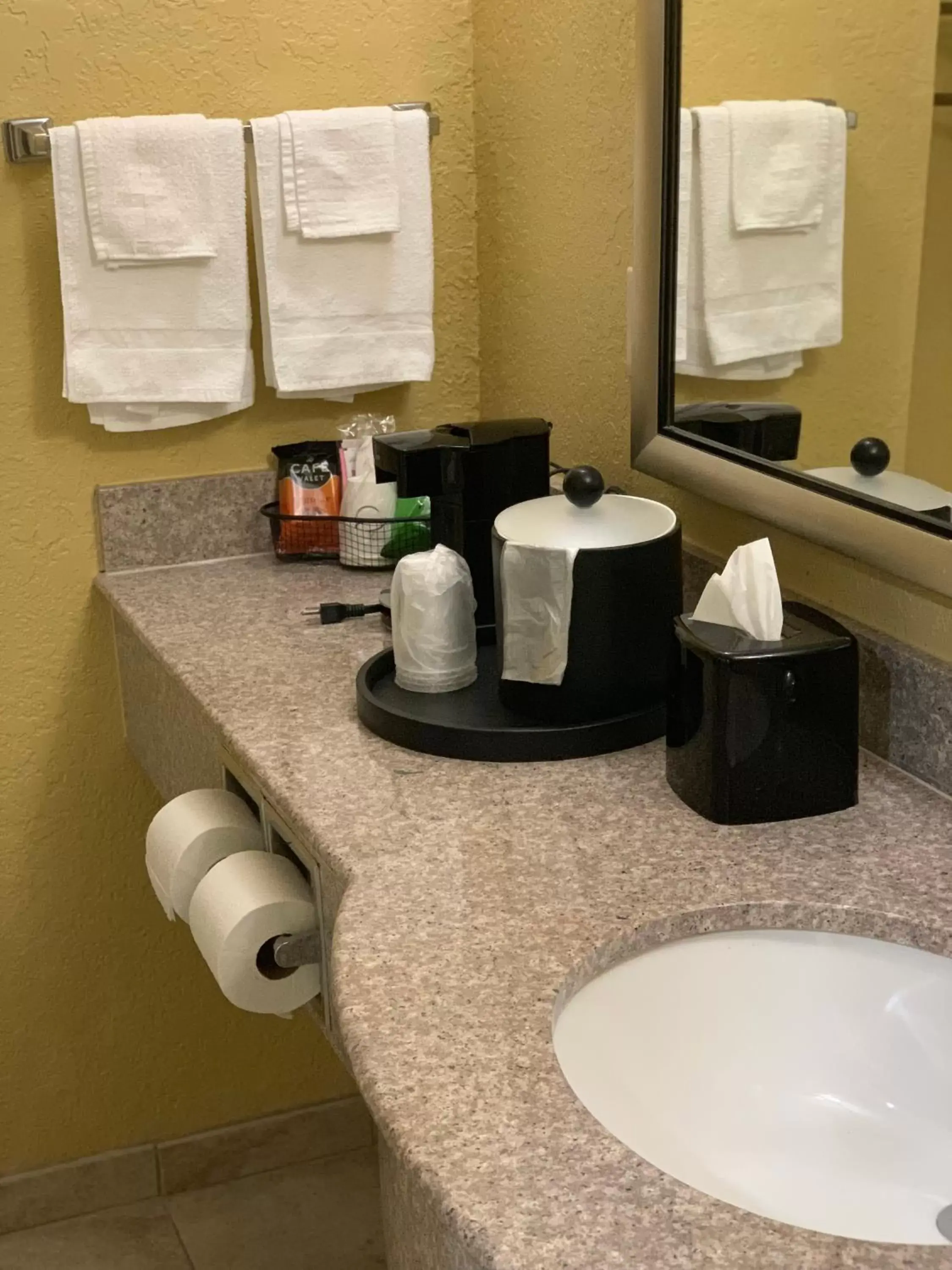 Bathroom in Ambassador Inn & Suites