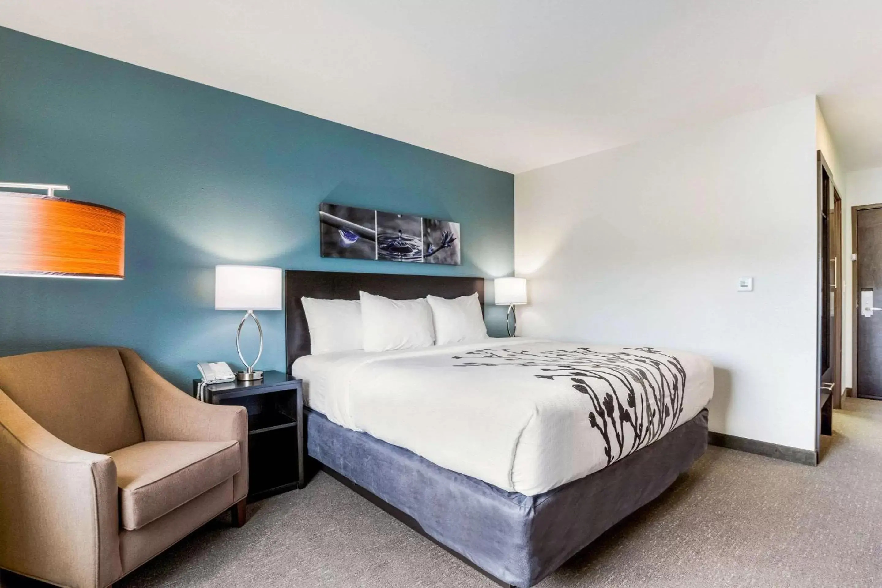 Bedroom, Bed in Sleep Inn Winfield - Teays Valley