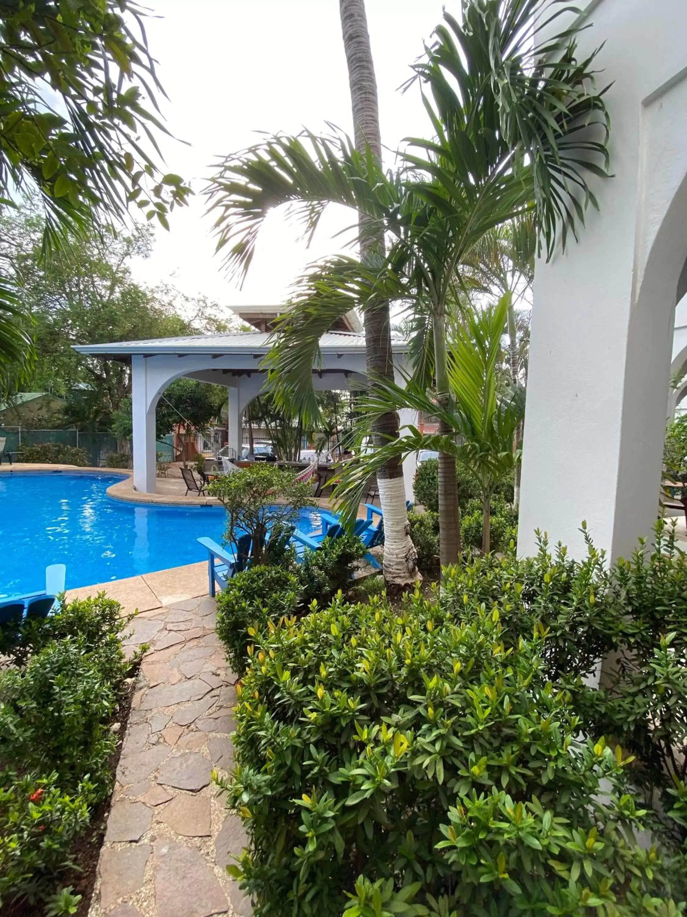 Pool view, Swimming Pool in Hotel Mar Rey