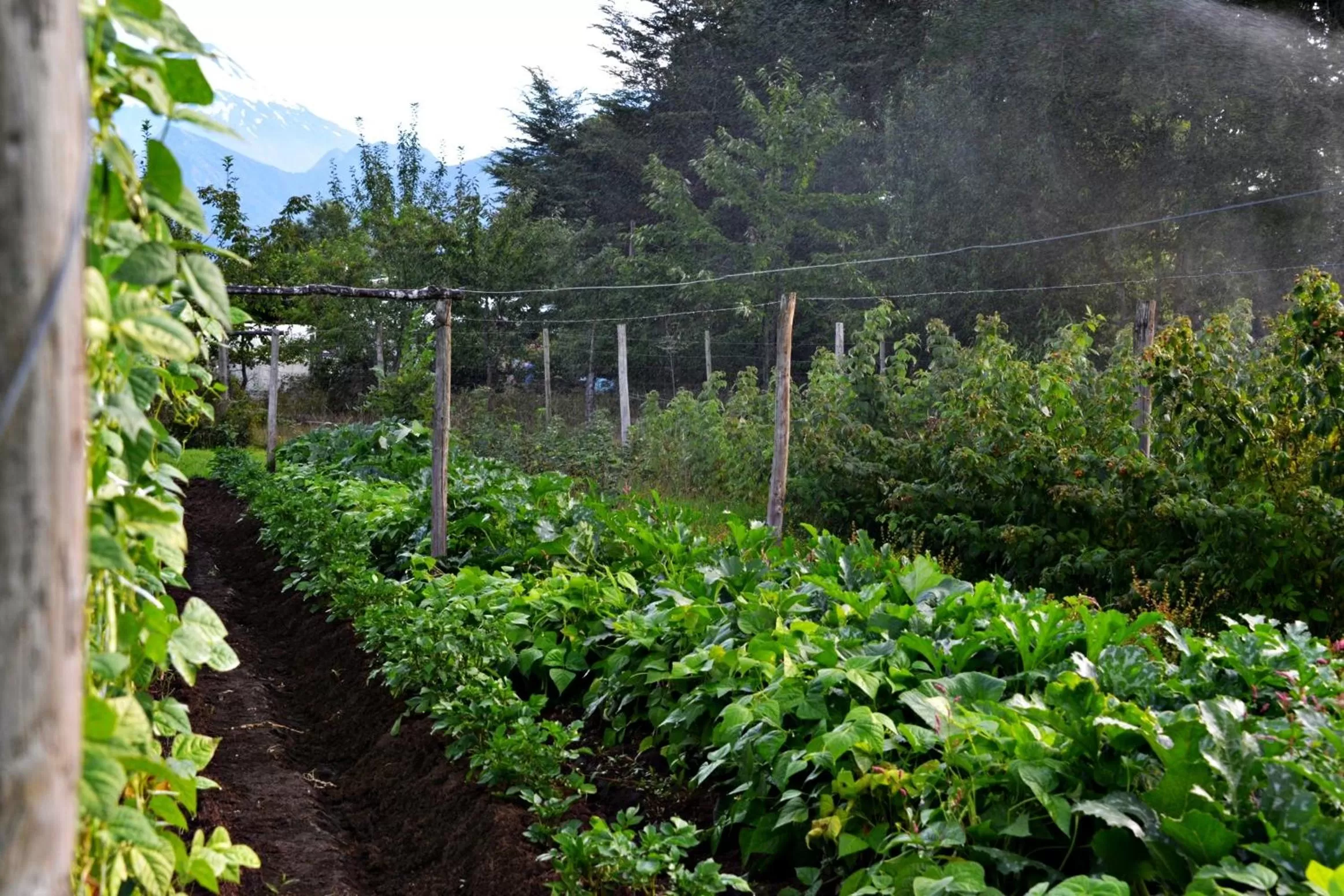 Garden view in Hotel Salto del Carileufu