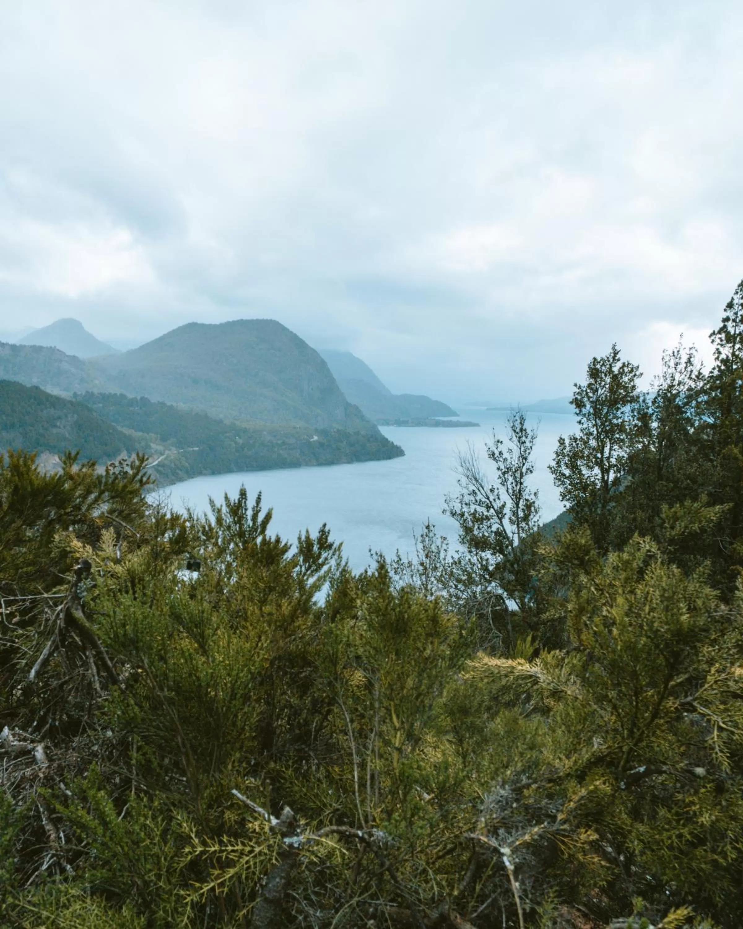 Nearby landmark in Arrayan Lake View Mountain Lodge & Casa De Te Arrayan