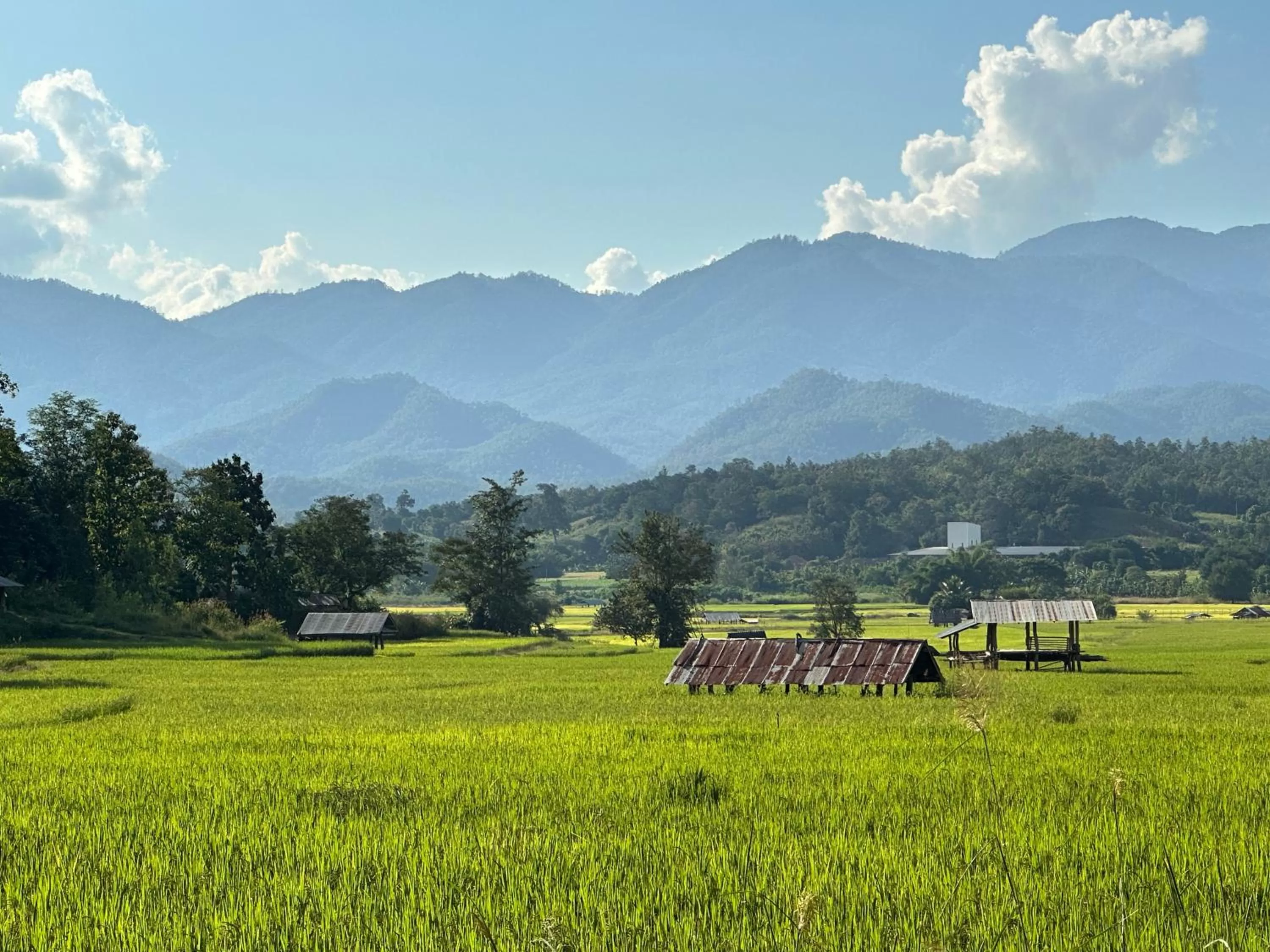 Mountain view in Pura Vida Pai Resort