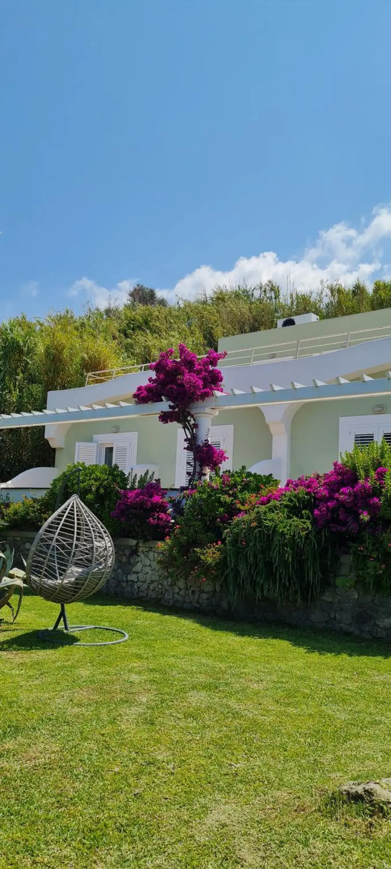 Garden in Hotel Albatros