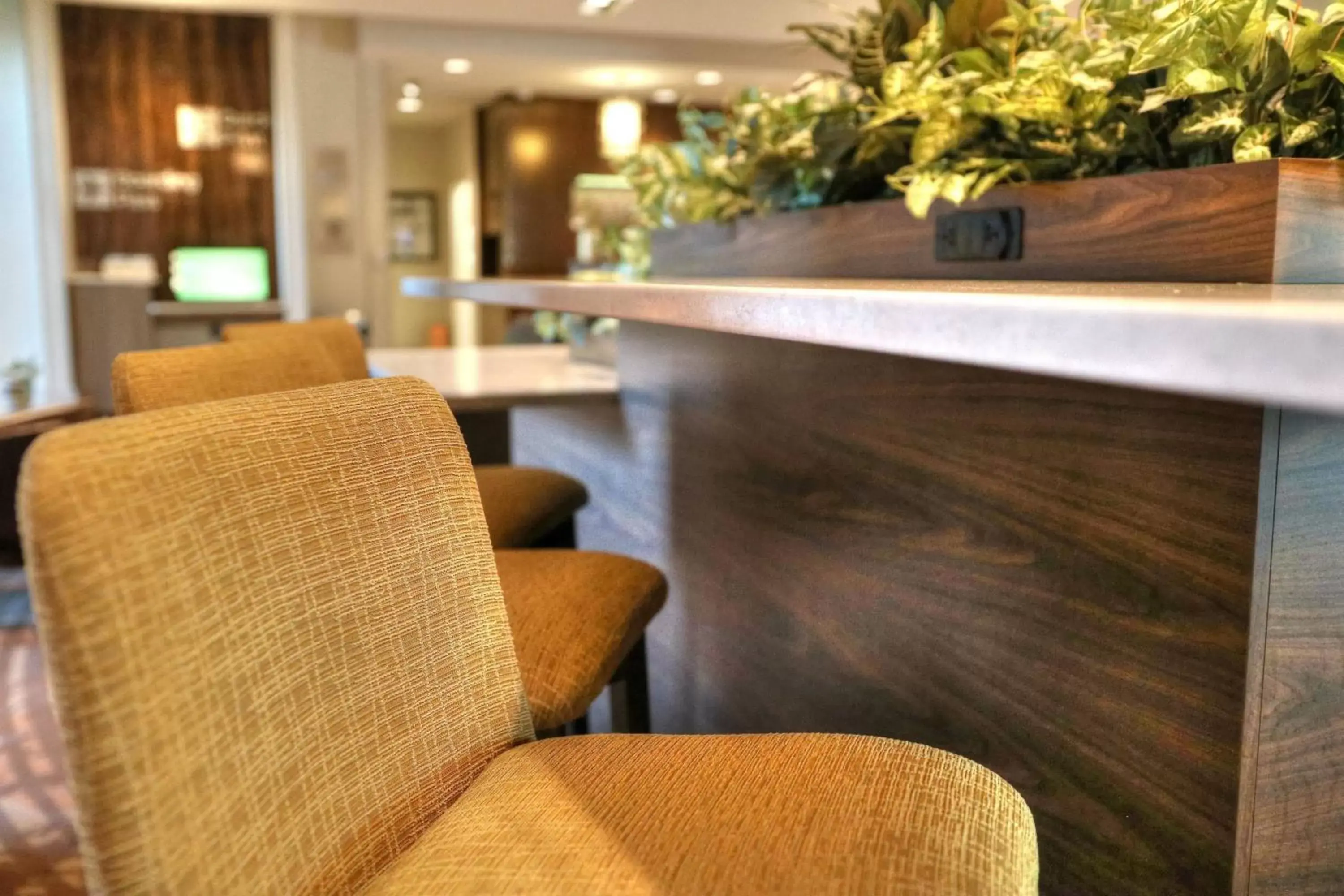 Lobby or reception in Courtyard by Marriott Pigeon Forge