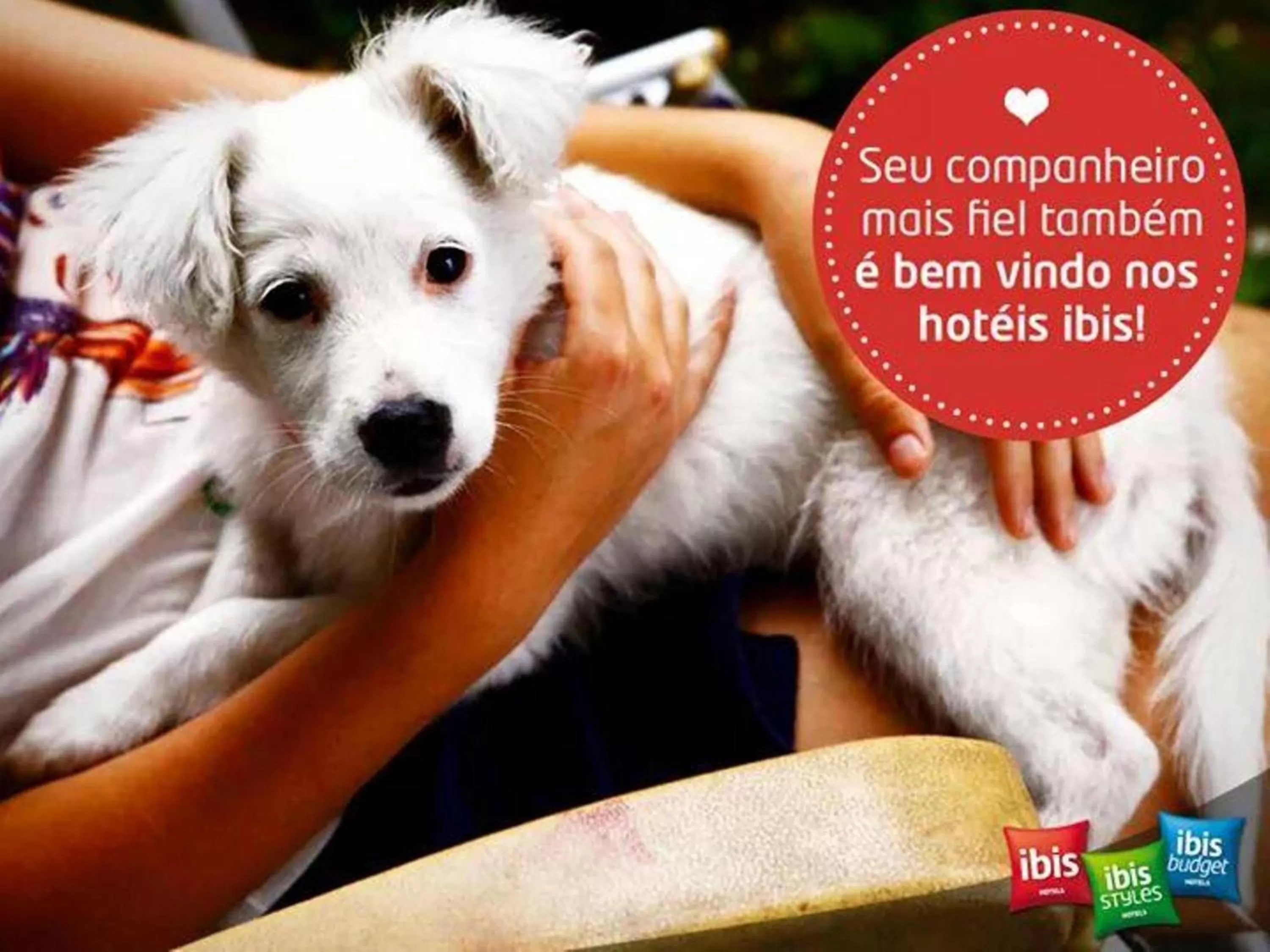 Pets in ibis Londrina Shopping