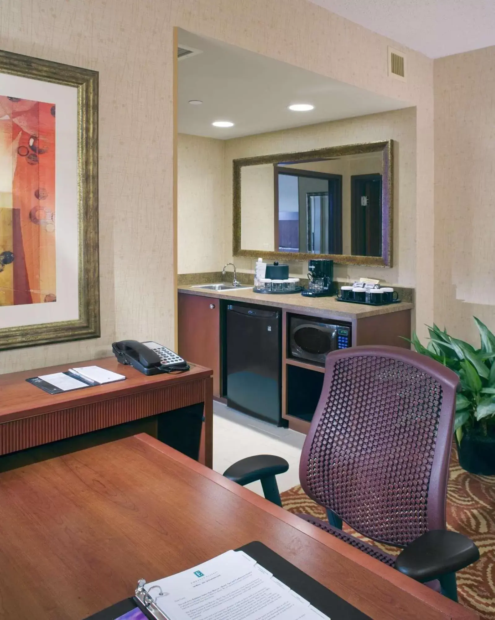 Kitchen or kitchenette, Kitchen/Kitchenette in Embassy Suites by Hilton San Marcos Hotel Conference Center