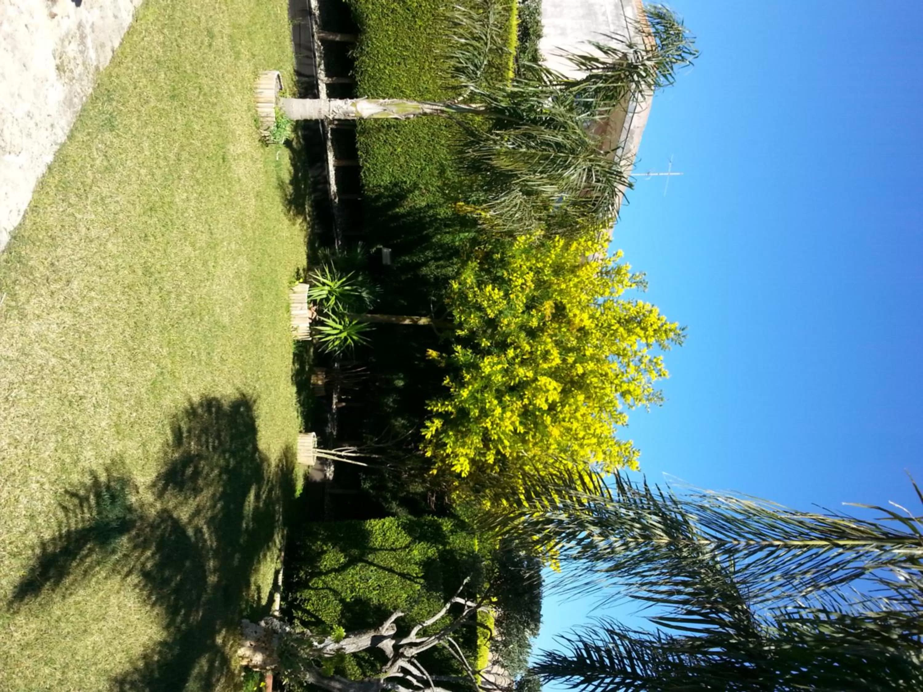 Garden in Etma