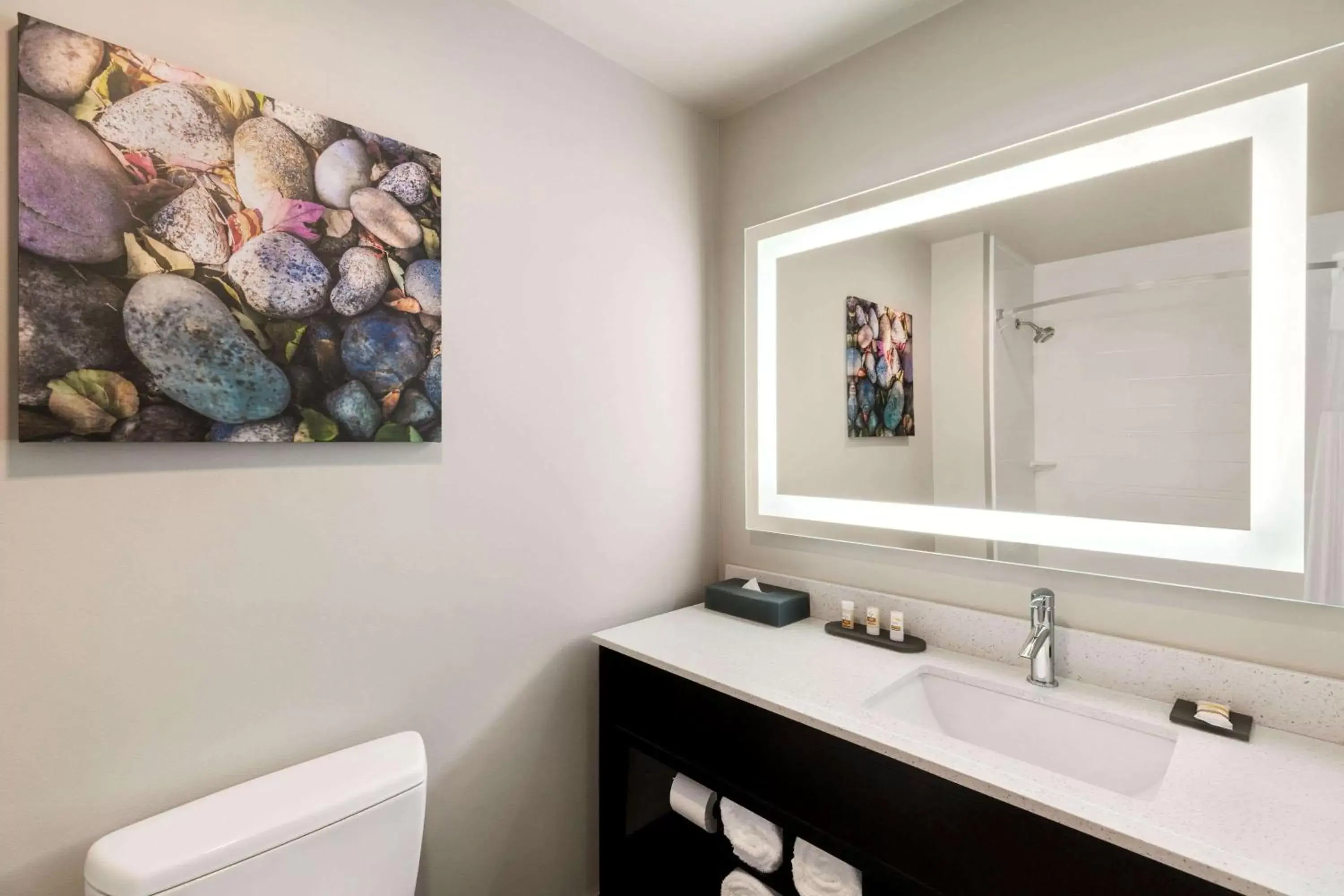 Bathroom in La Quinta Inn & Suites by Wyndham Burlington