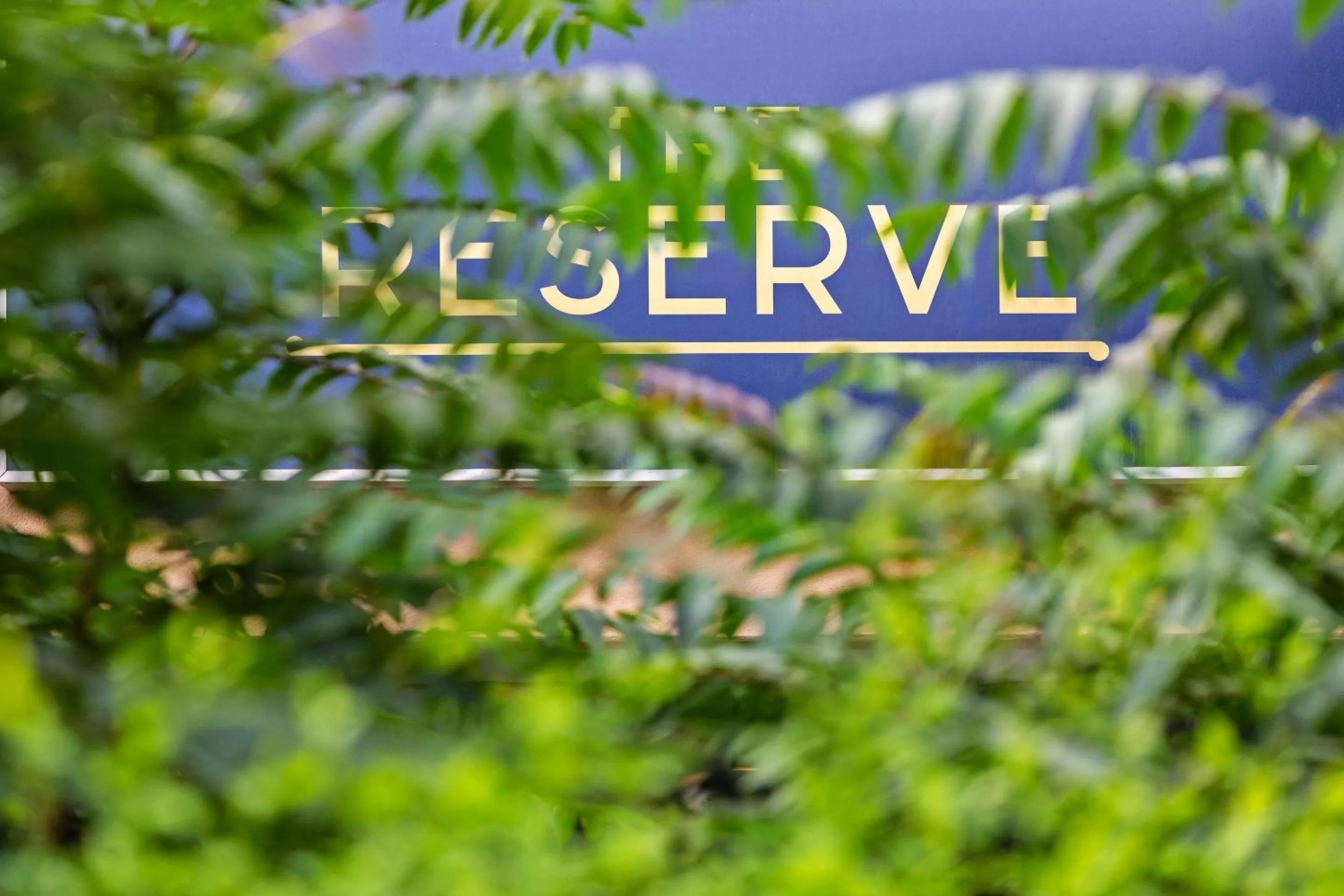 Restaurant/places to eat in Amora Hotel Riverwalk Melbourne