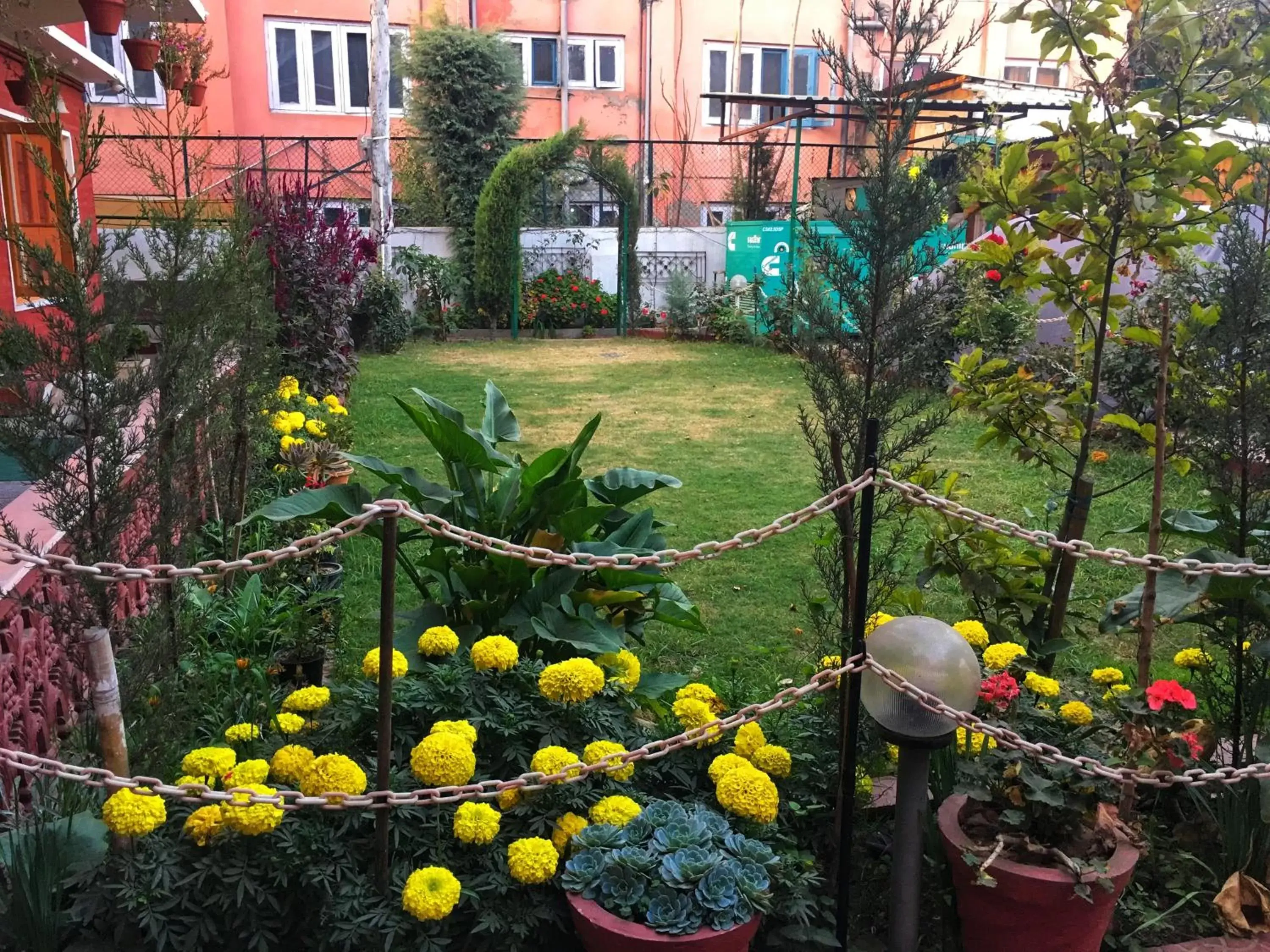 Garden in Walisons Hotel