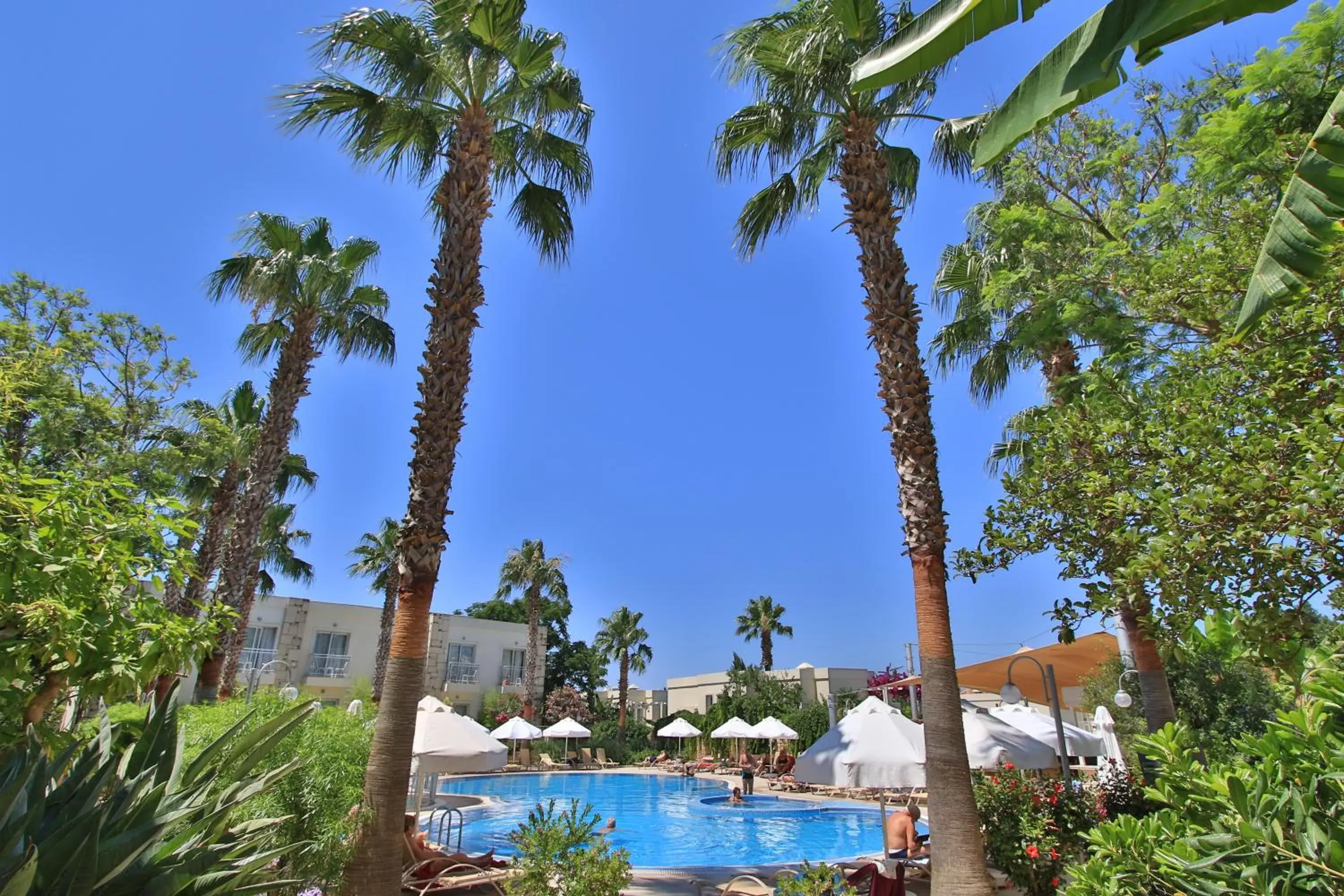 Swimming Pool in Mandarin Resort & Spa