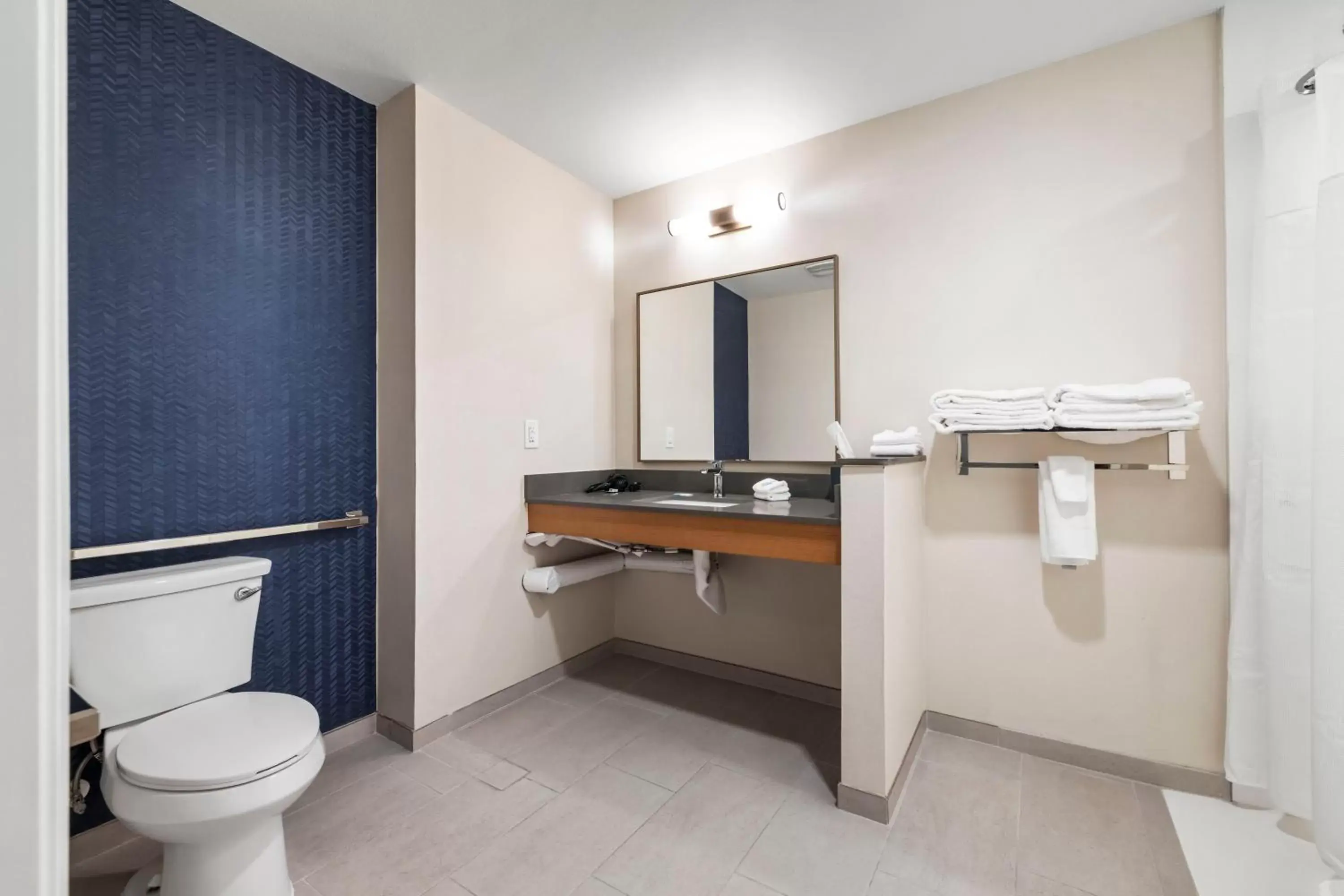 Bathroom in Fairfield by Marriott Inn & Suites San Francisco Airport Oyster Point Area
