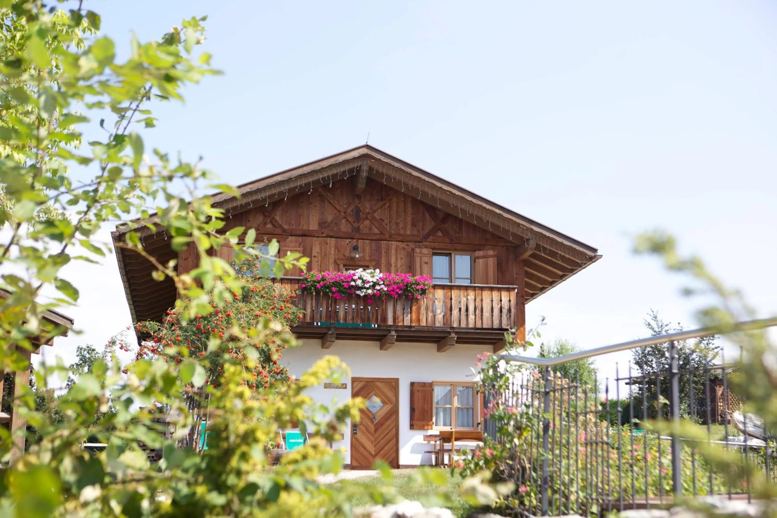 Facade/entrance in Pineta Nature Resort - Wellness & SPA