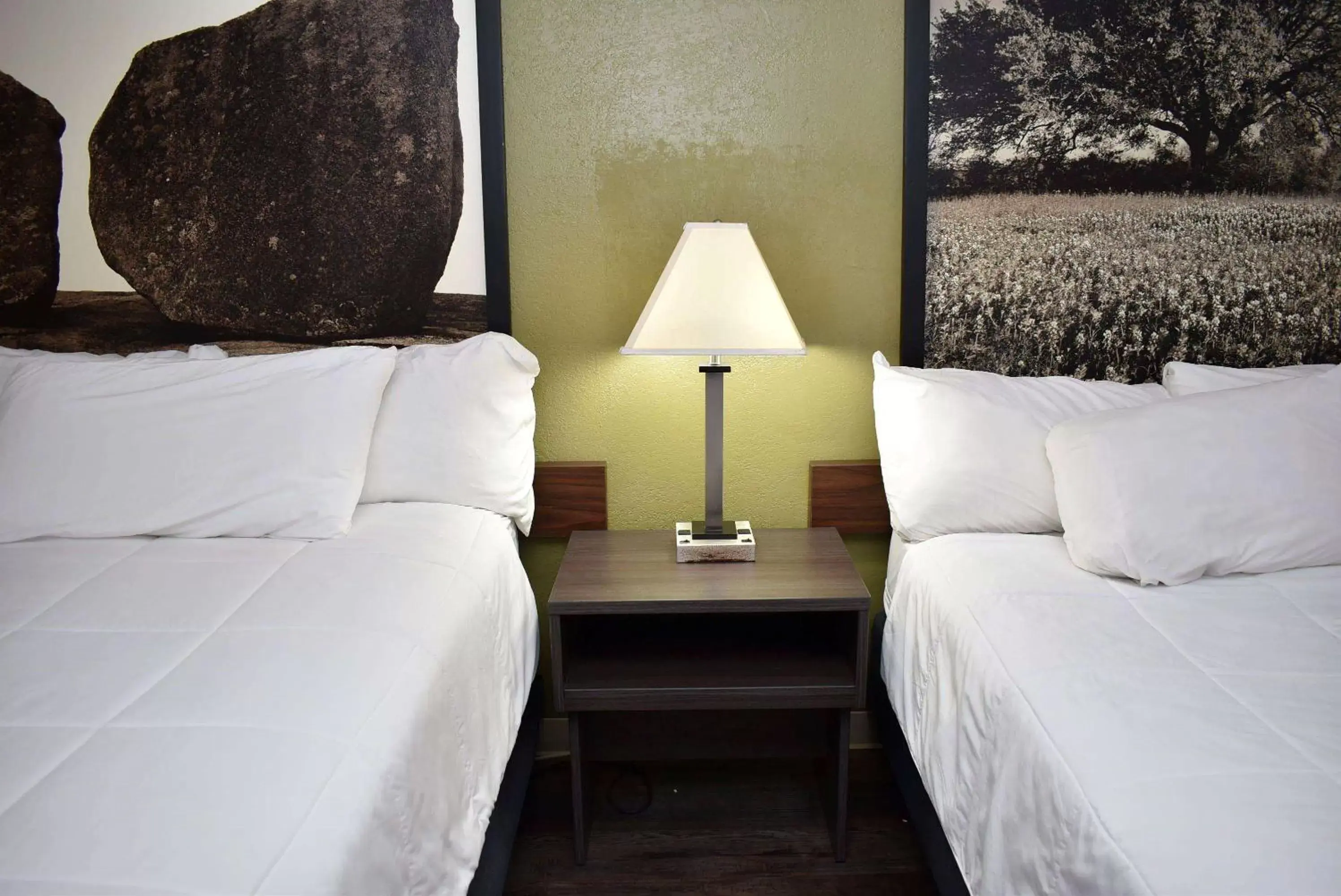 Photo of the whole room, Bed in Super 8 by Wyndham Fredericksburg