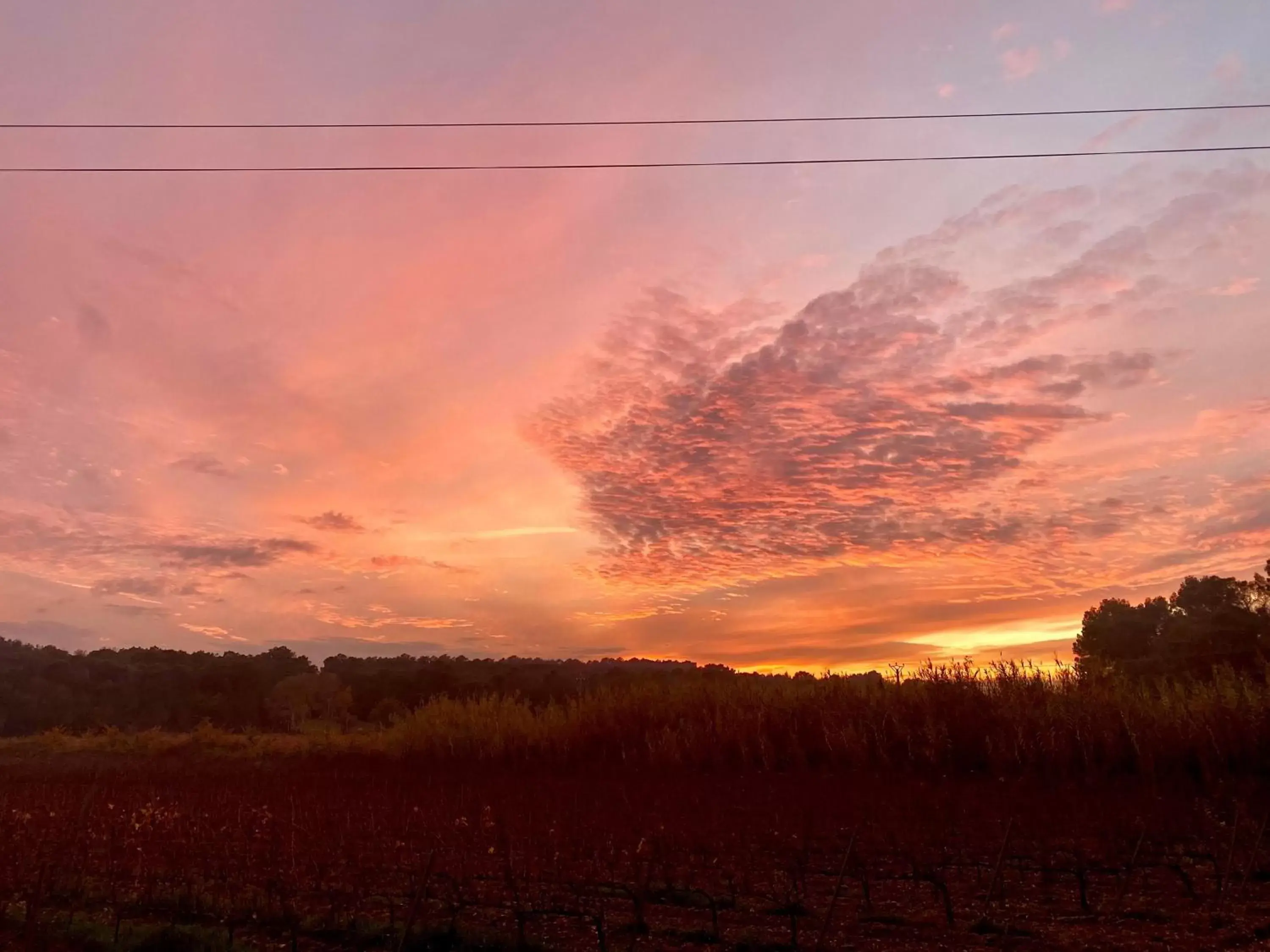 Winter, Sunrise/Sunset in Domaine du Commandeur