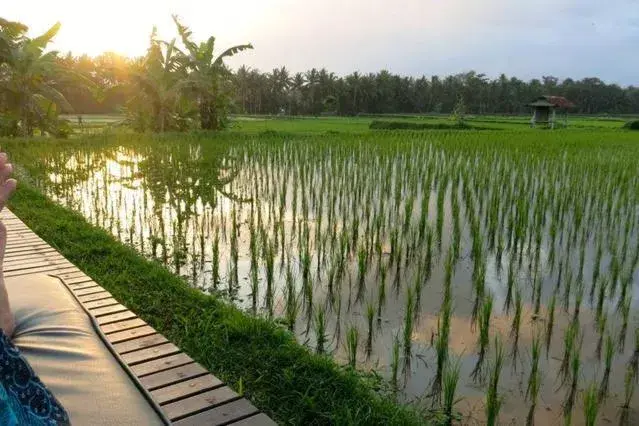 Patio in Bali Harmony Villa