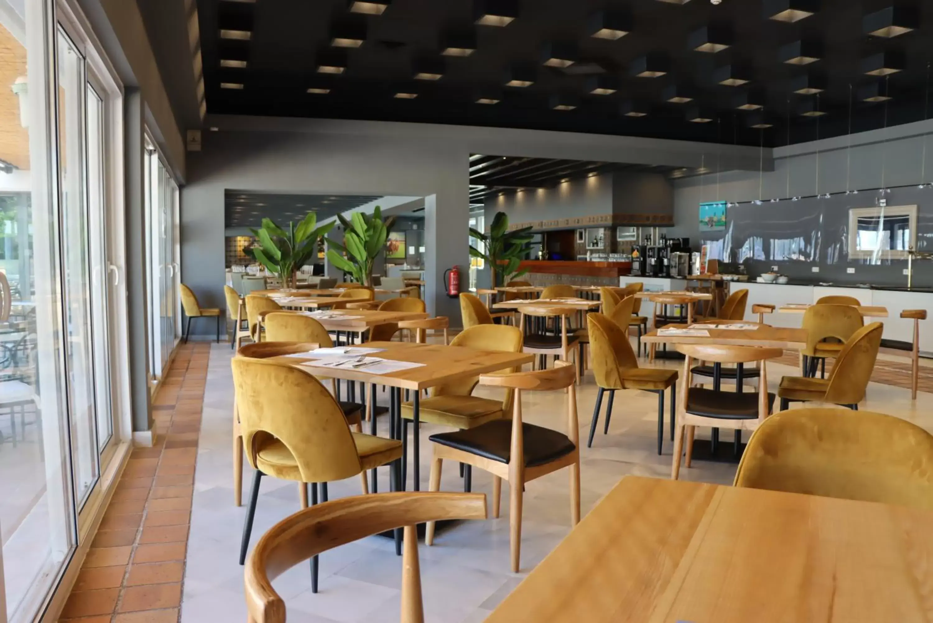 Breakfast, Restaurant/Places to Eat in Hotel Jerez & Spa