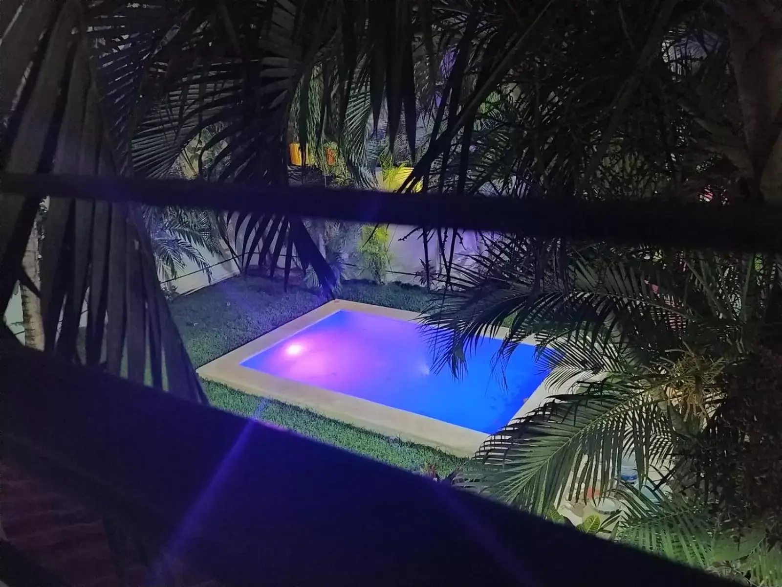 Swimming pool, Pool View in Hotel Mariachi by Kavia 5th Av