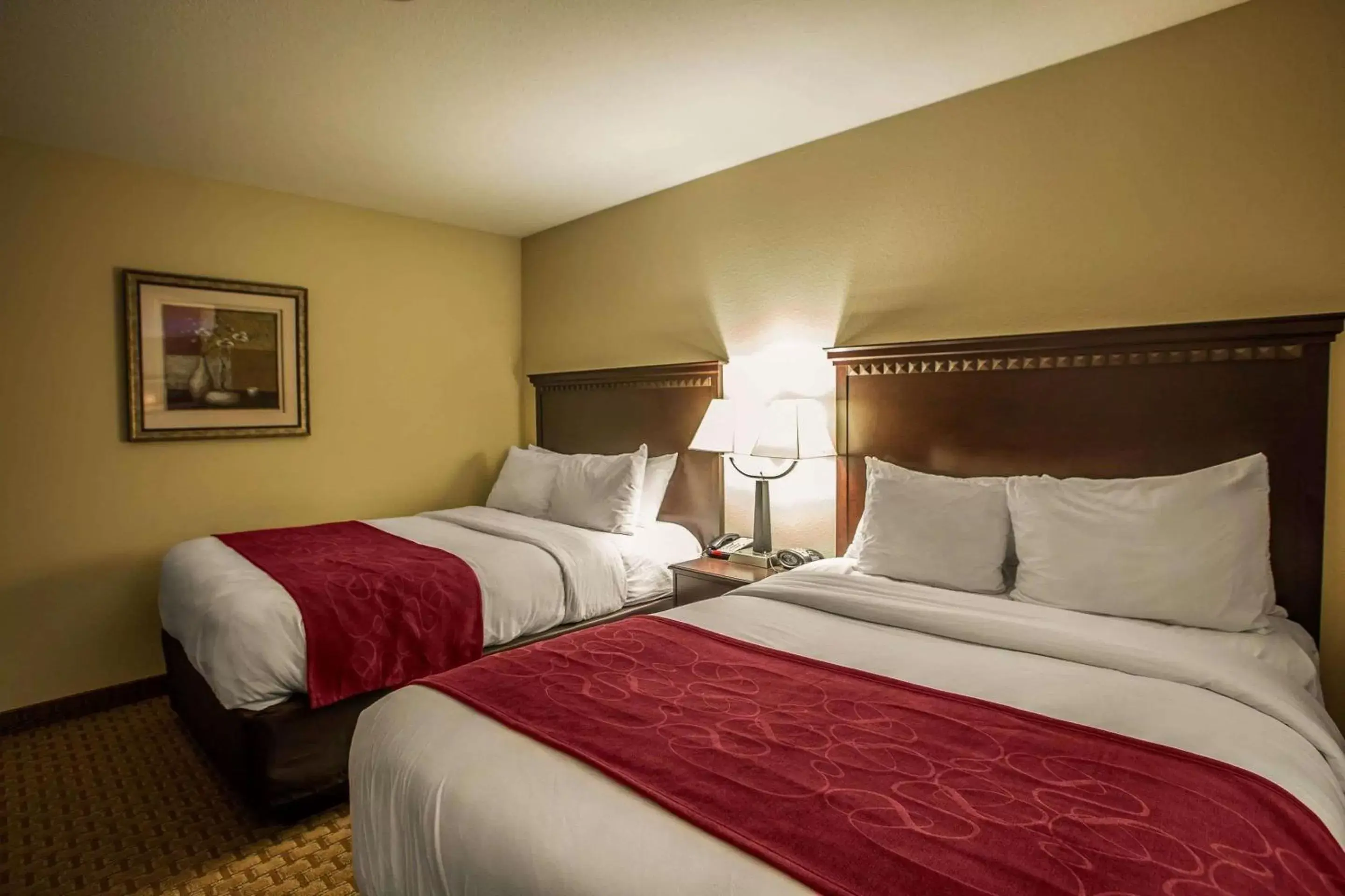 Photo of the whole room, Bed in Comfort Suites Bloomington I-55 and I-74