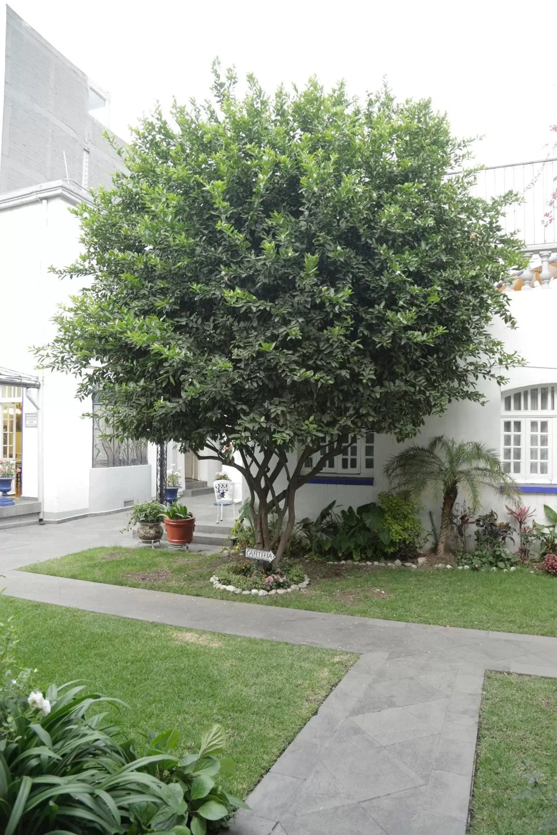 Garden, Patio/Outdoor Area in Hotel Casa Gonzalez