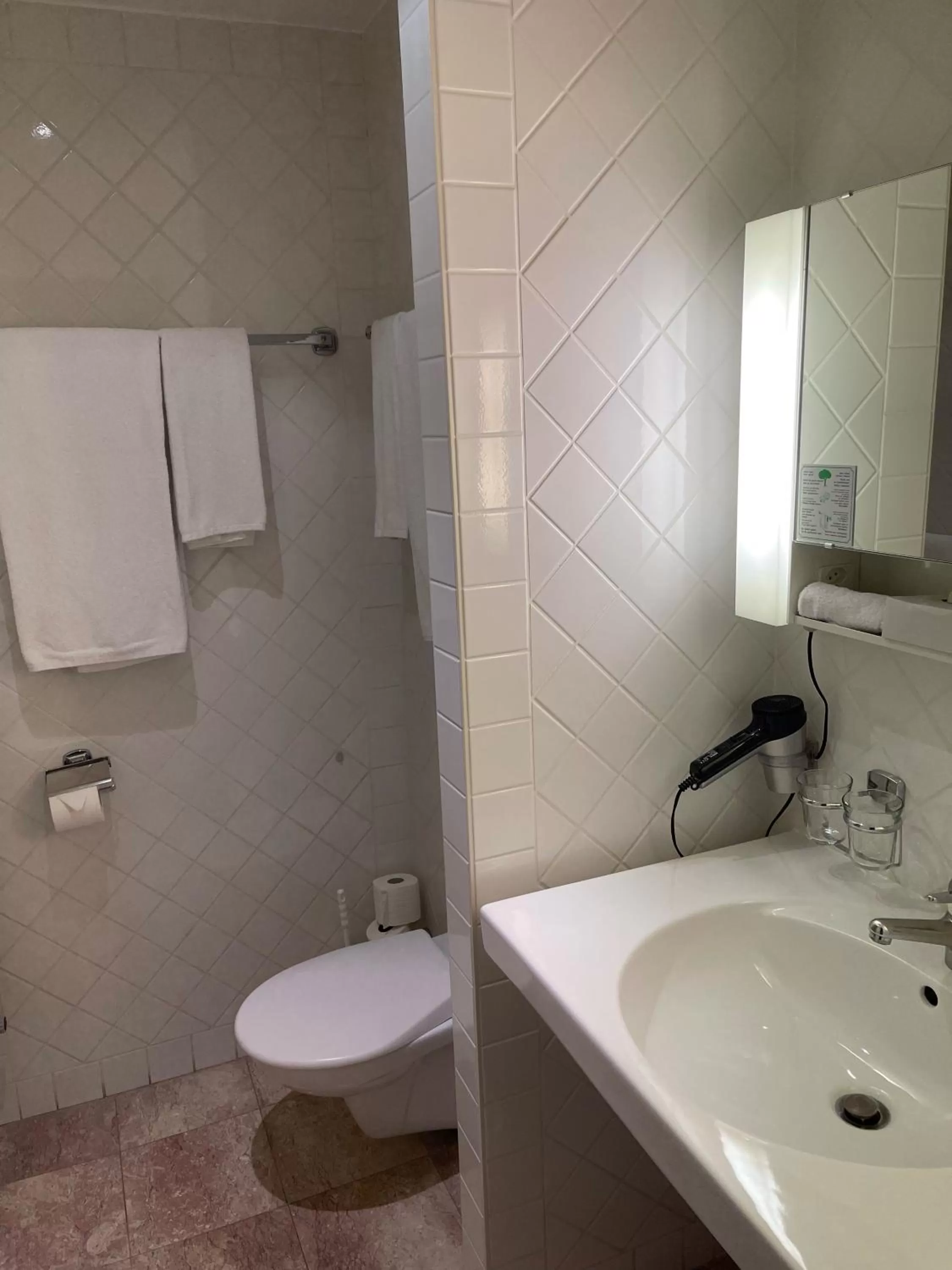 Bathroom in Hôtel des Alpes