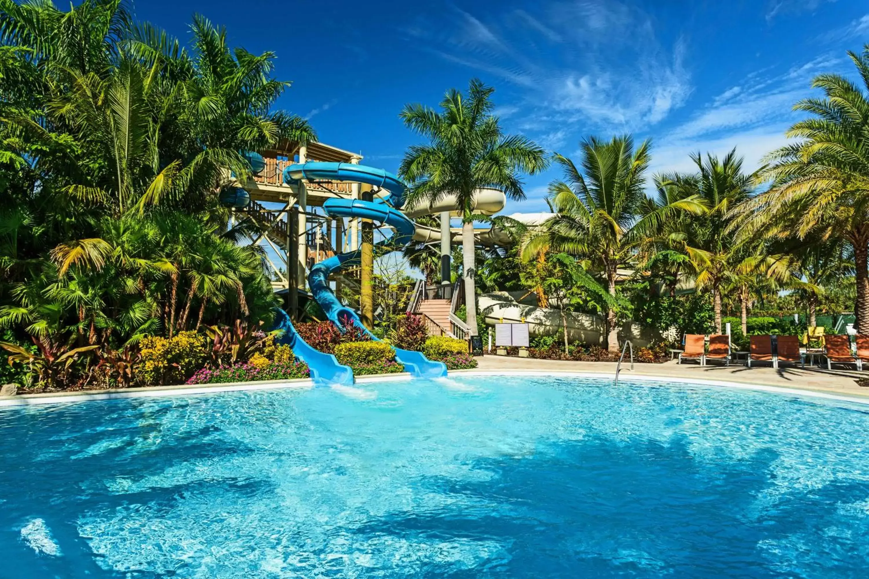 Pool view, Water Park in Hyatt Regency Coconut Point Resort & Spa Near Naples