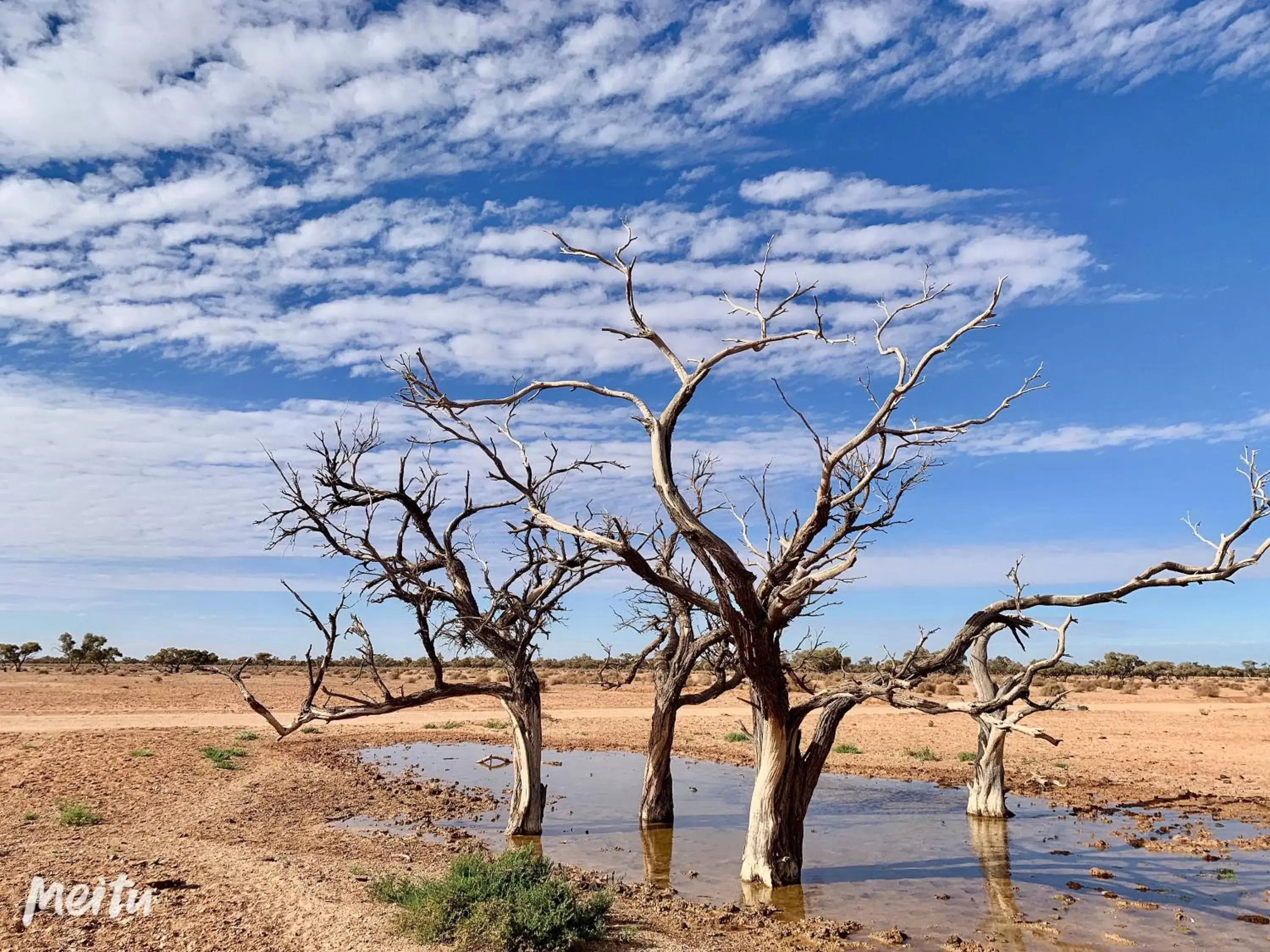 Natural landscape, Beach in Opal Inn Hotel, Motel, Caravan Park