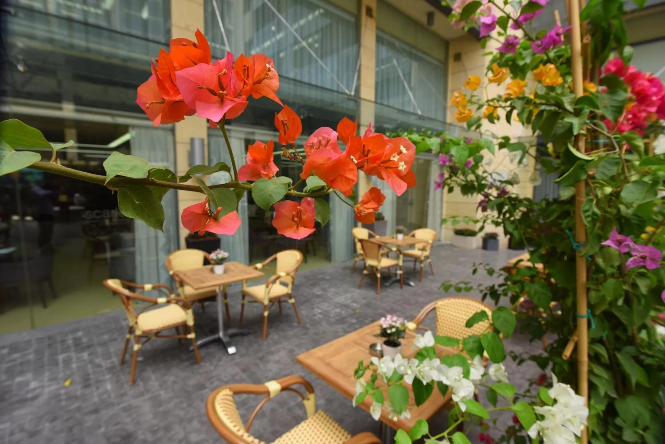 Garden in Ramada by Wyndham Downtown Beirut