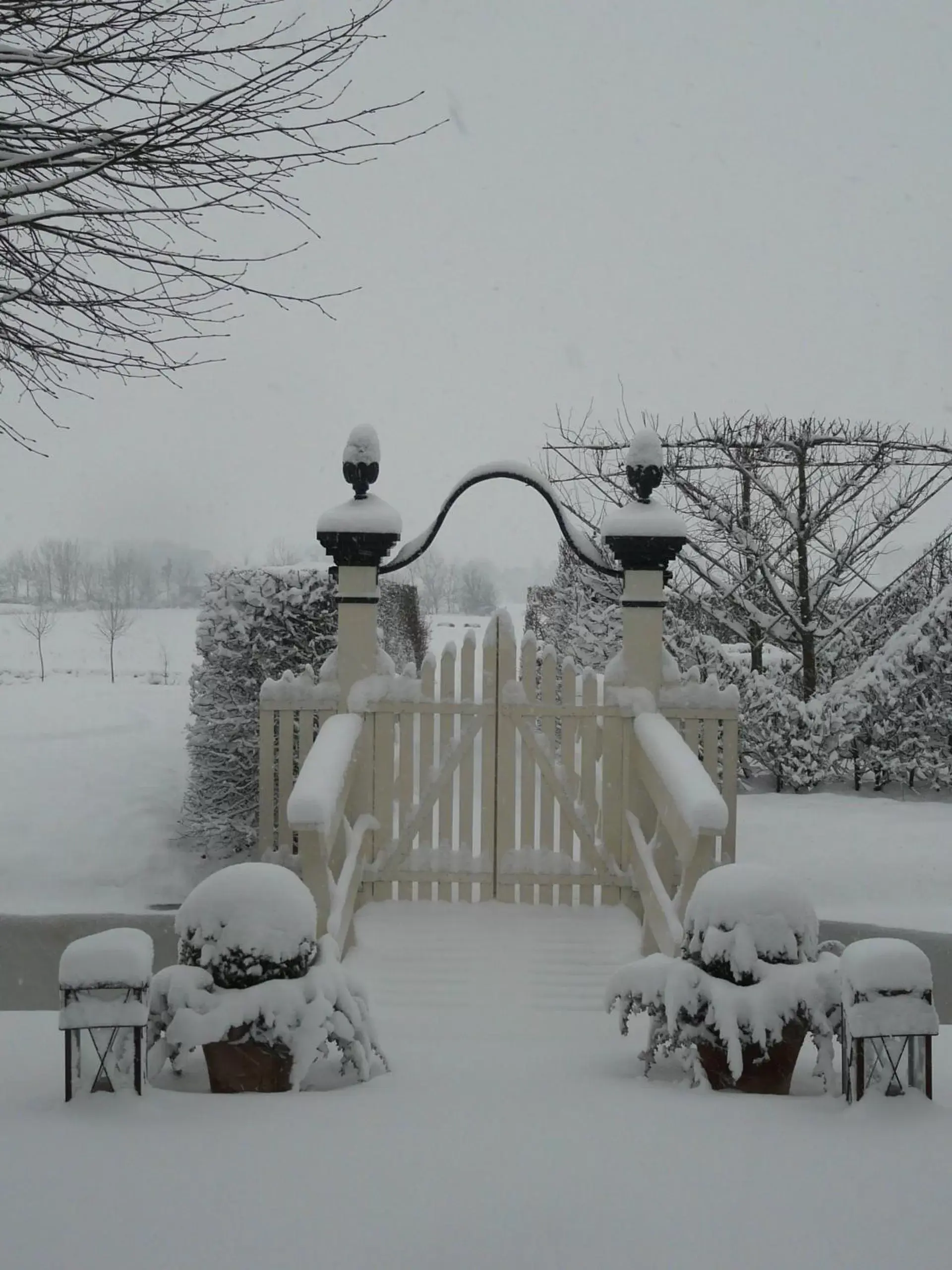 Garden, Winter in Landgoedlogies Pábema