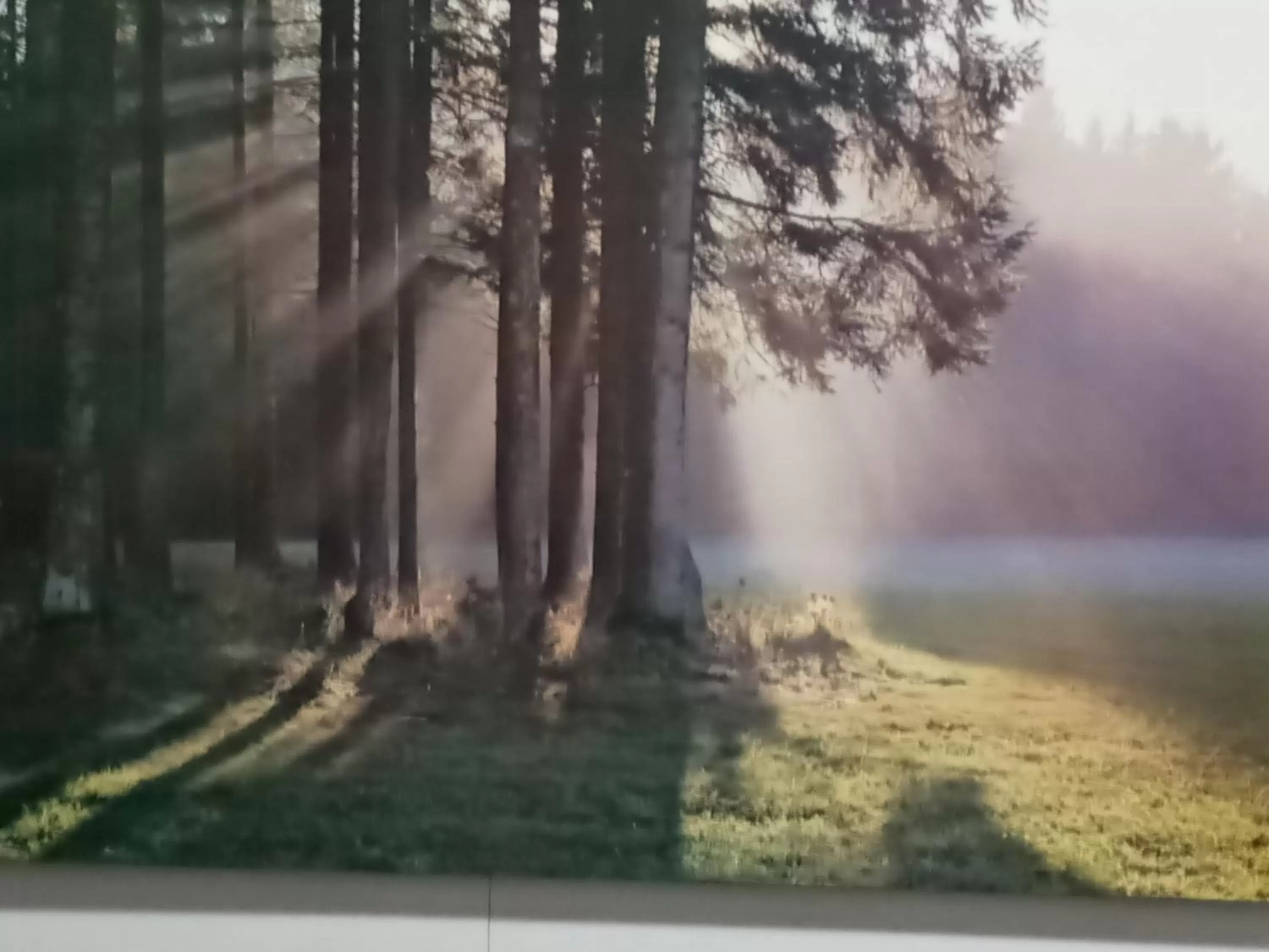 Suítes para fins de semana