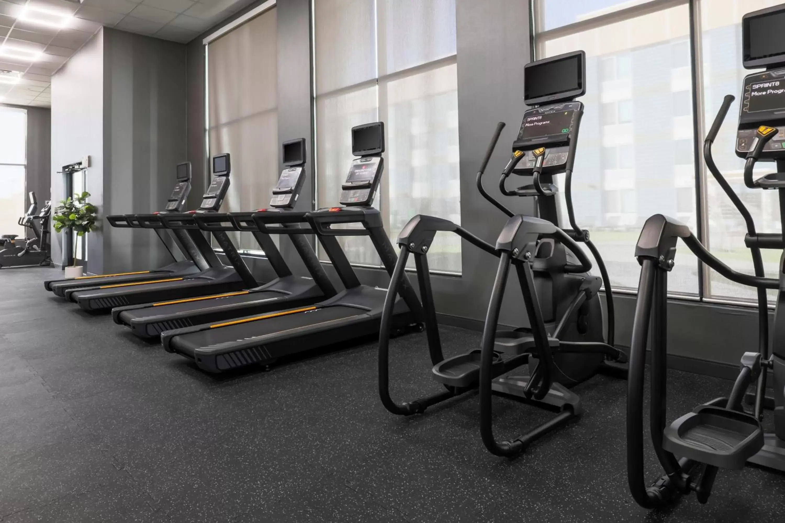 Fitness centre/facilities, Fitness Center/Facilities in Four Points by Sheraton Amarillo Central