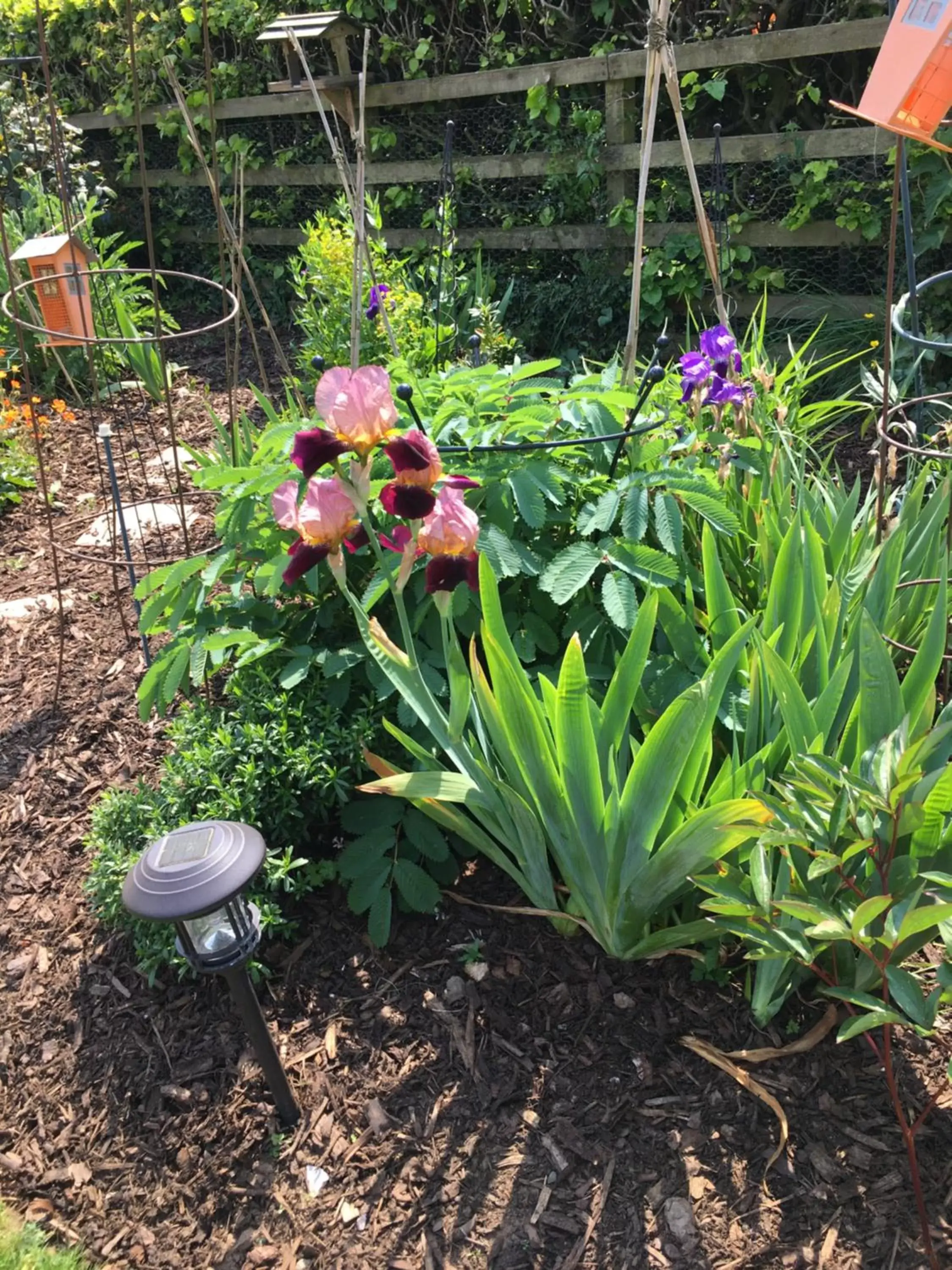 Property building, Garden in Retreat at The Knowe Auchincruive Estate