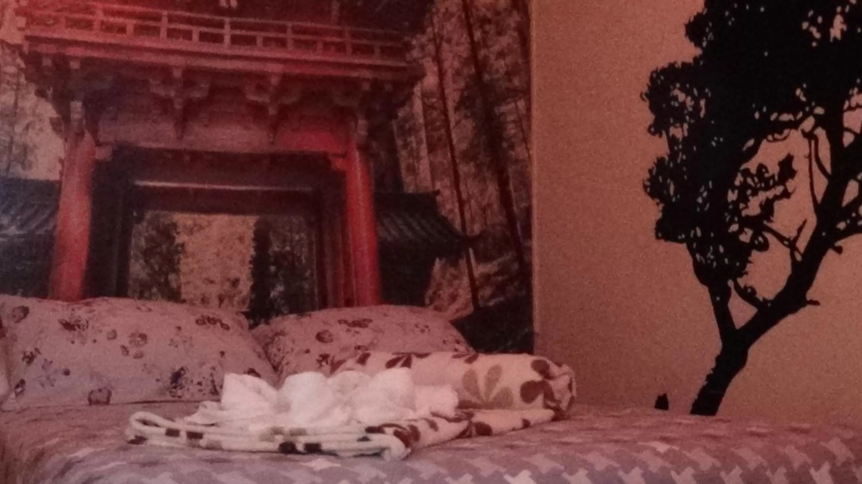 Bed in Pousada Encanto e Magia