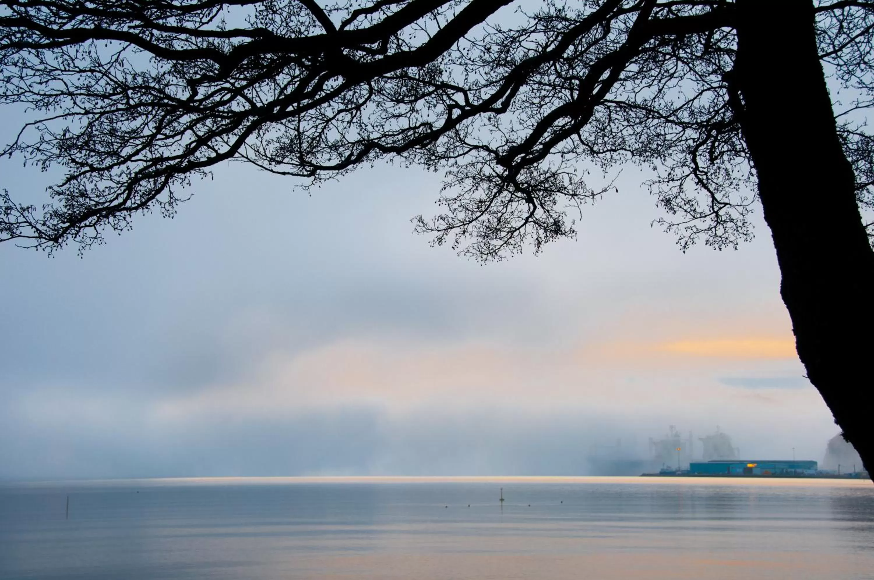 Natural landscape in Rosfjord Strandhotel