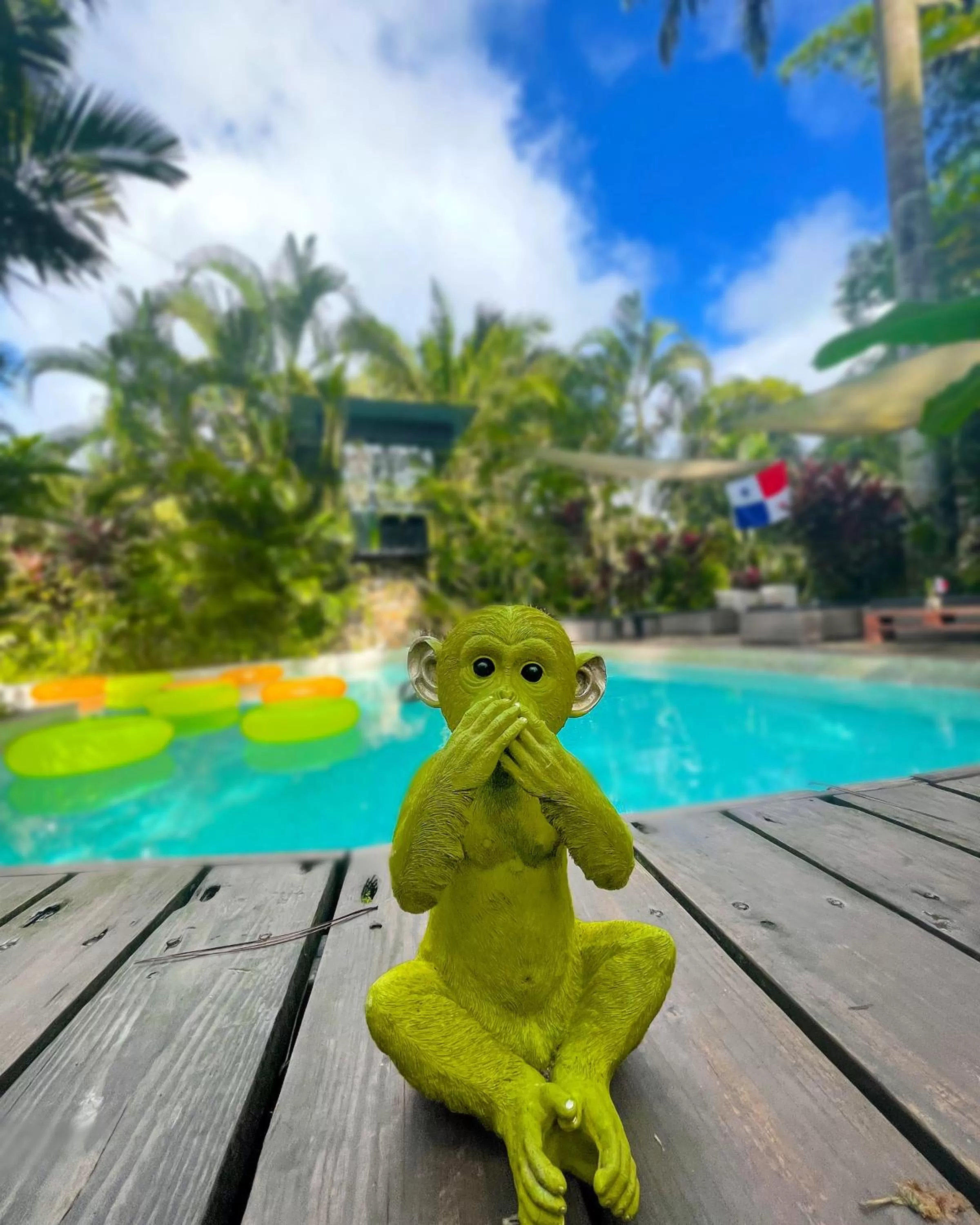 Swimming pool in Monkey Lodge Panama