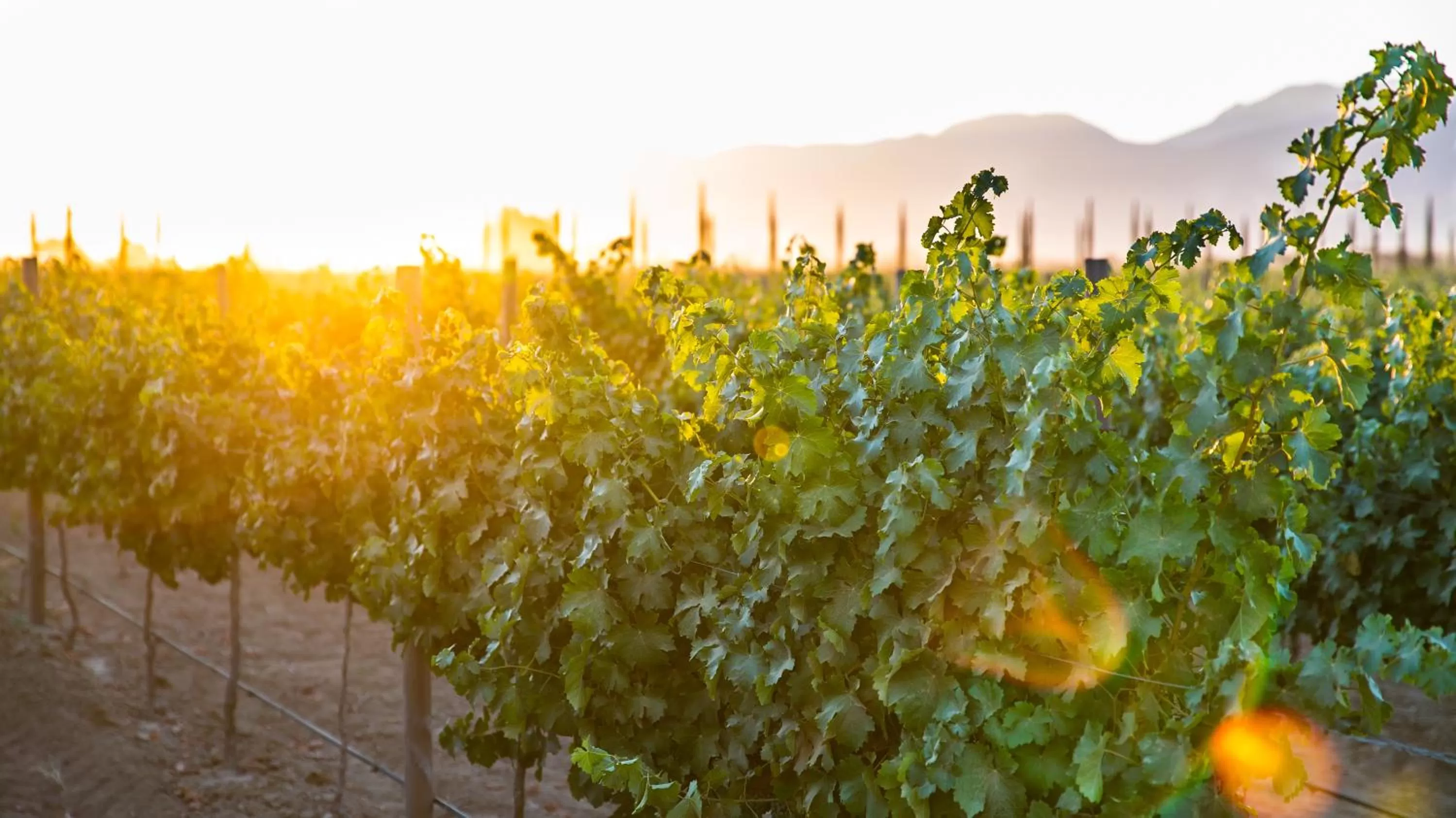 Sunset in El Cielo Resort