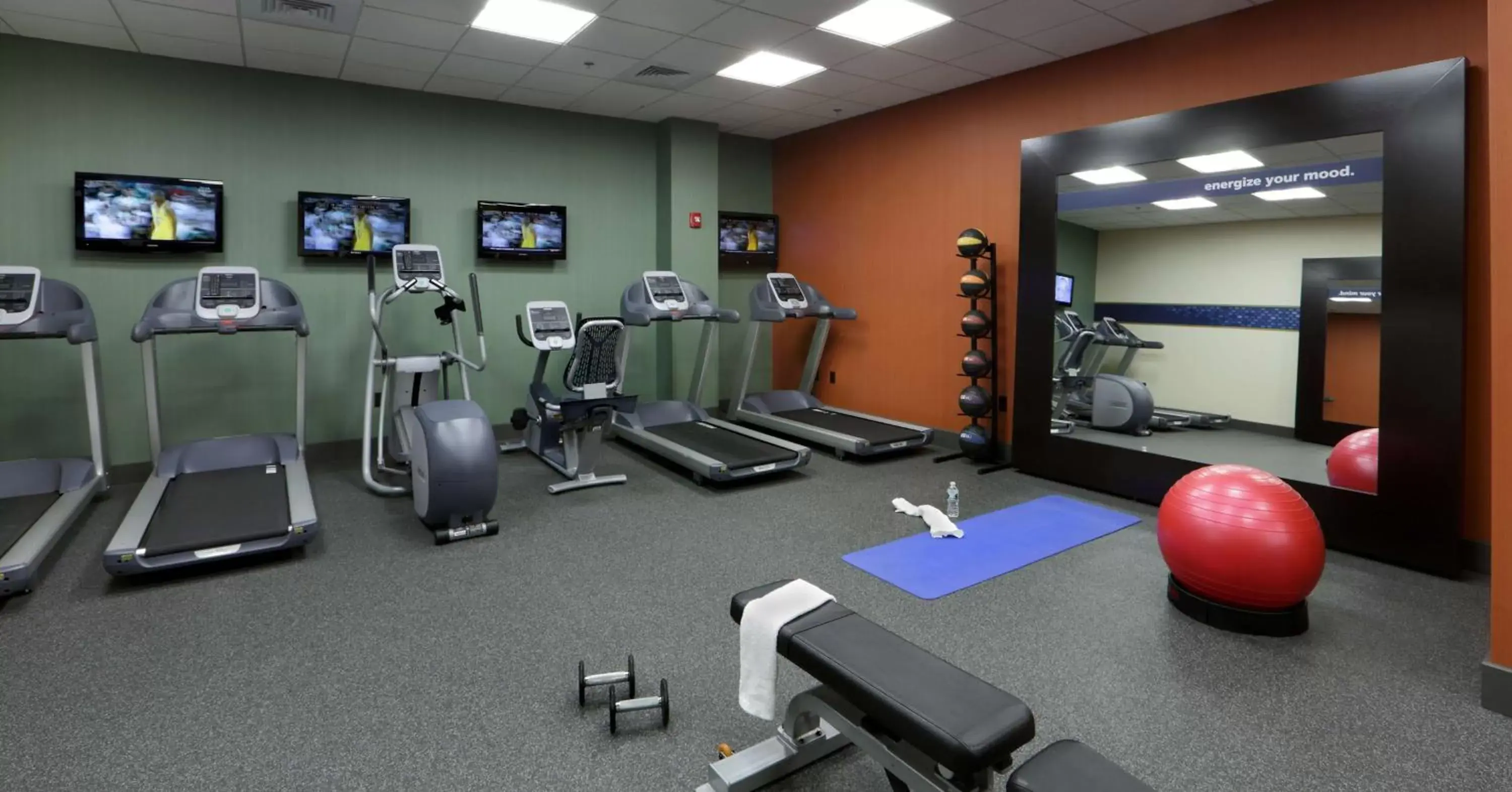 Fitness centre/facilities, Fitness Center/Facilities in Hampton Inn Boston-Natick