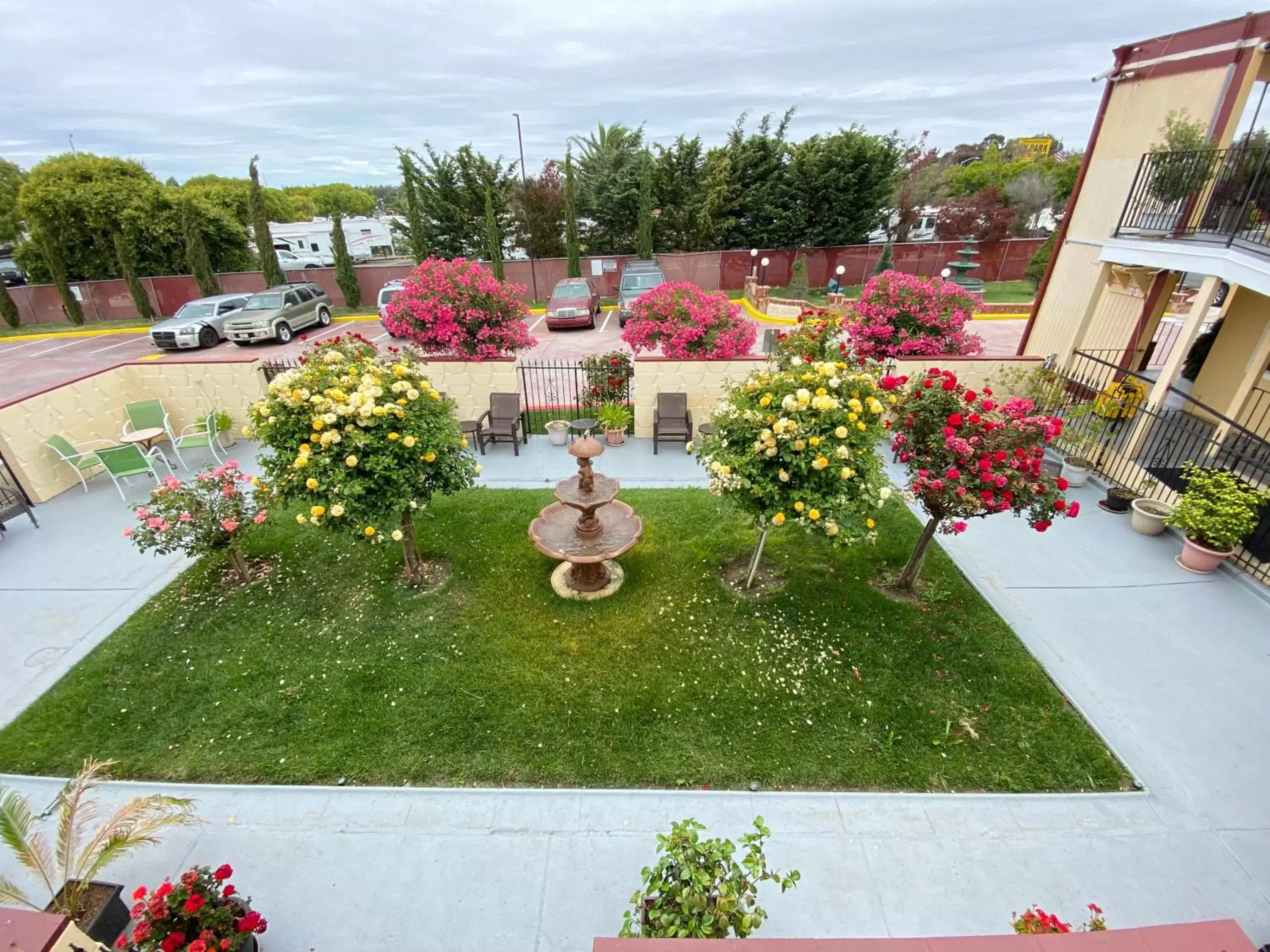 Garden view in Motel 7 - Near Six Flags, Vallejo - Napa Valley
