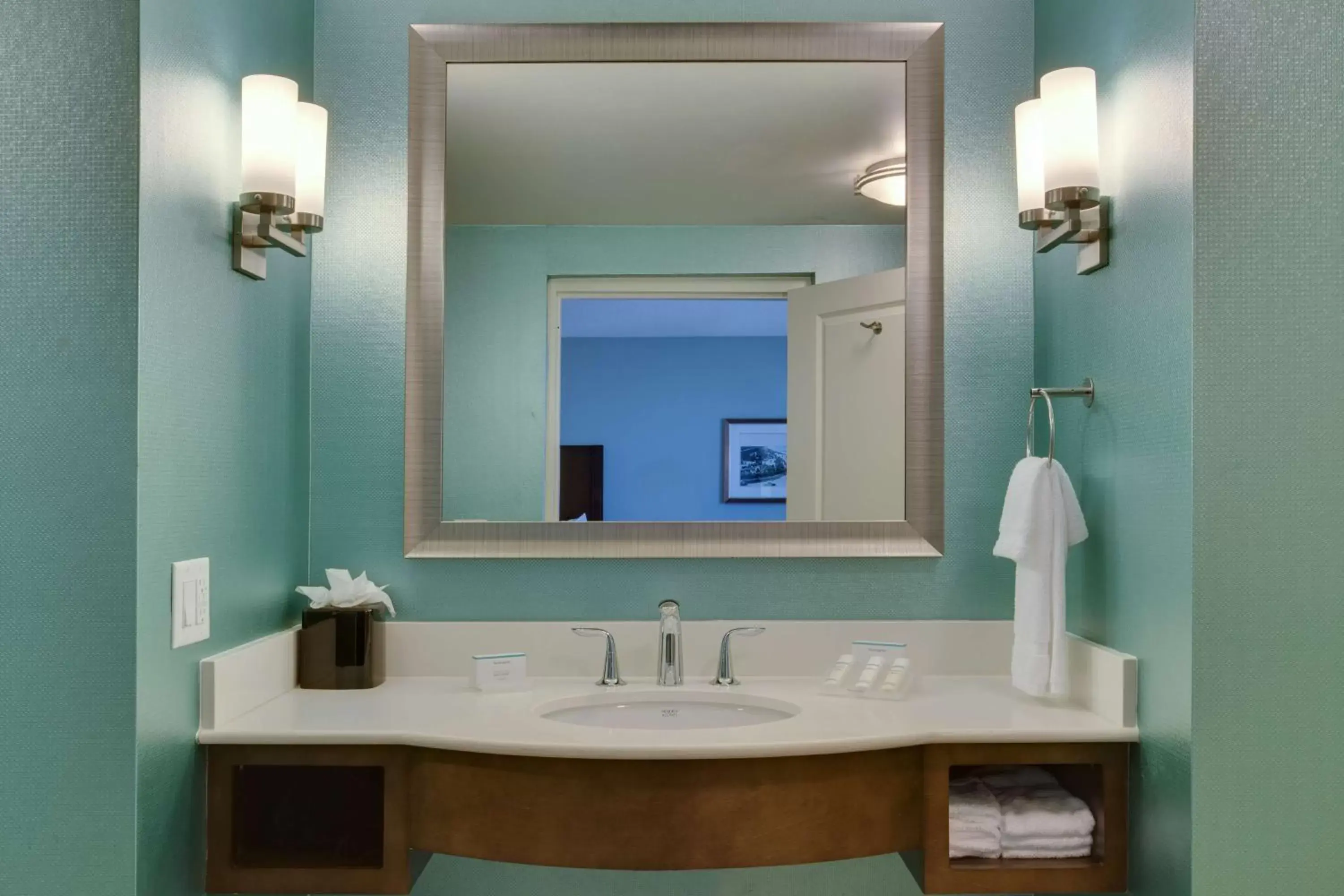 Bathroom in Hilton Garden Inn Daytona Beach Oceanfront