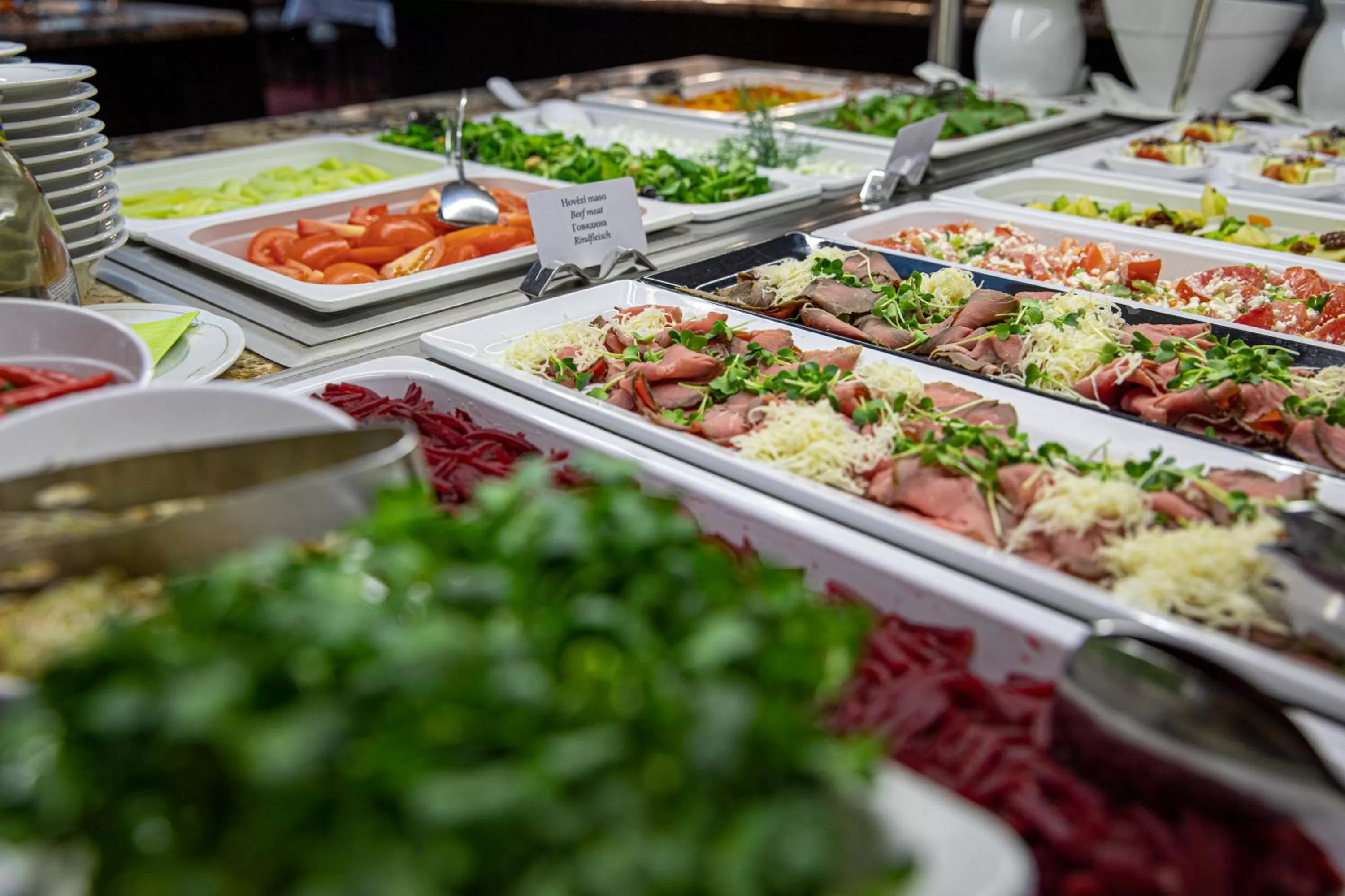 Lunch in Luxury Spa Hotel Olympic Palace