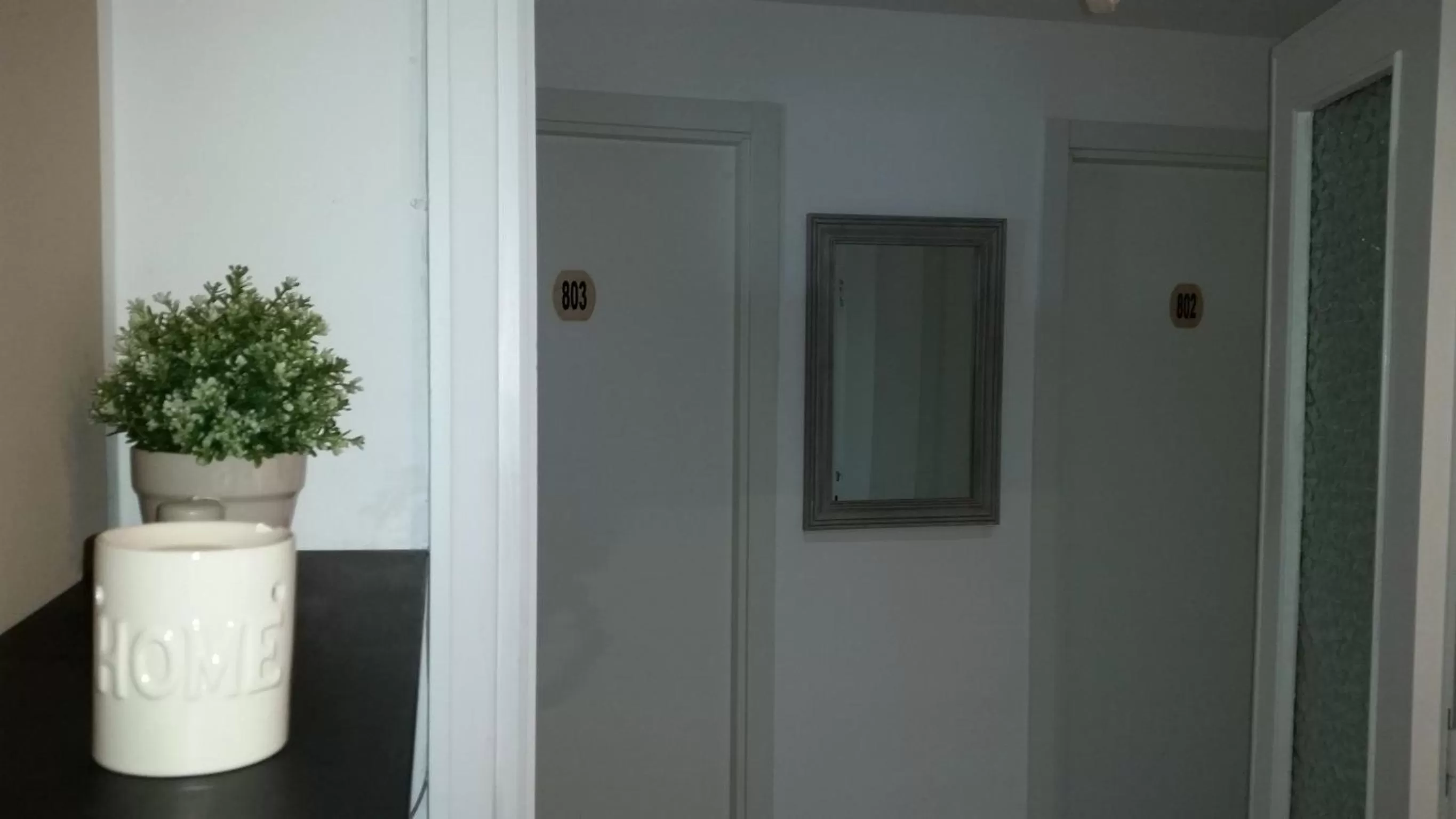 Area and facilities in Atticoromantica