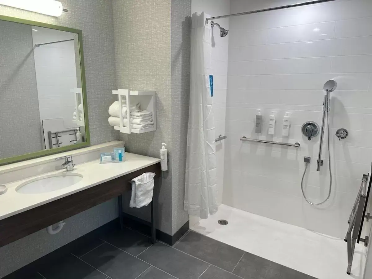 Bathroom in Hampton Inn & Suites Ruskin I-75, FL