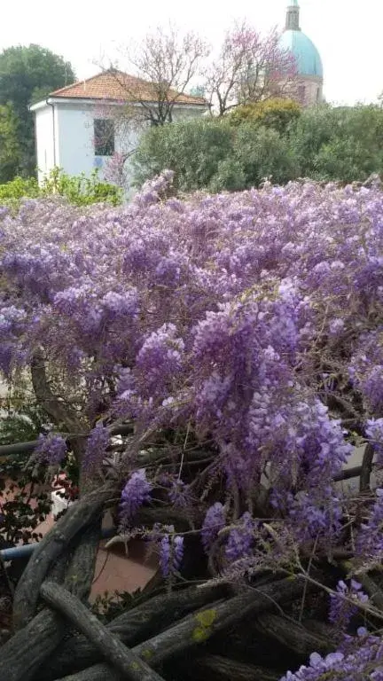 Spring in Hotel Stipino