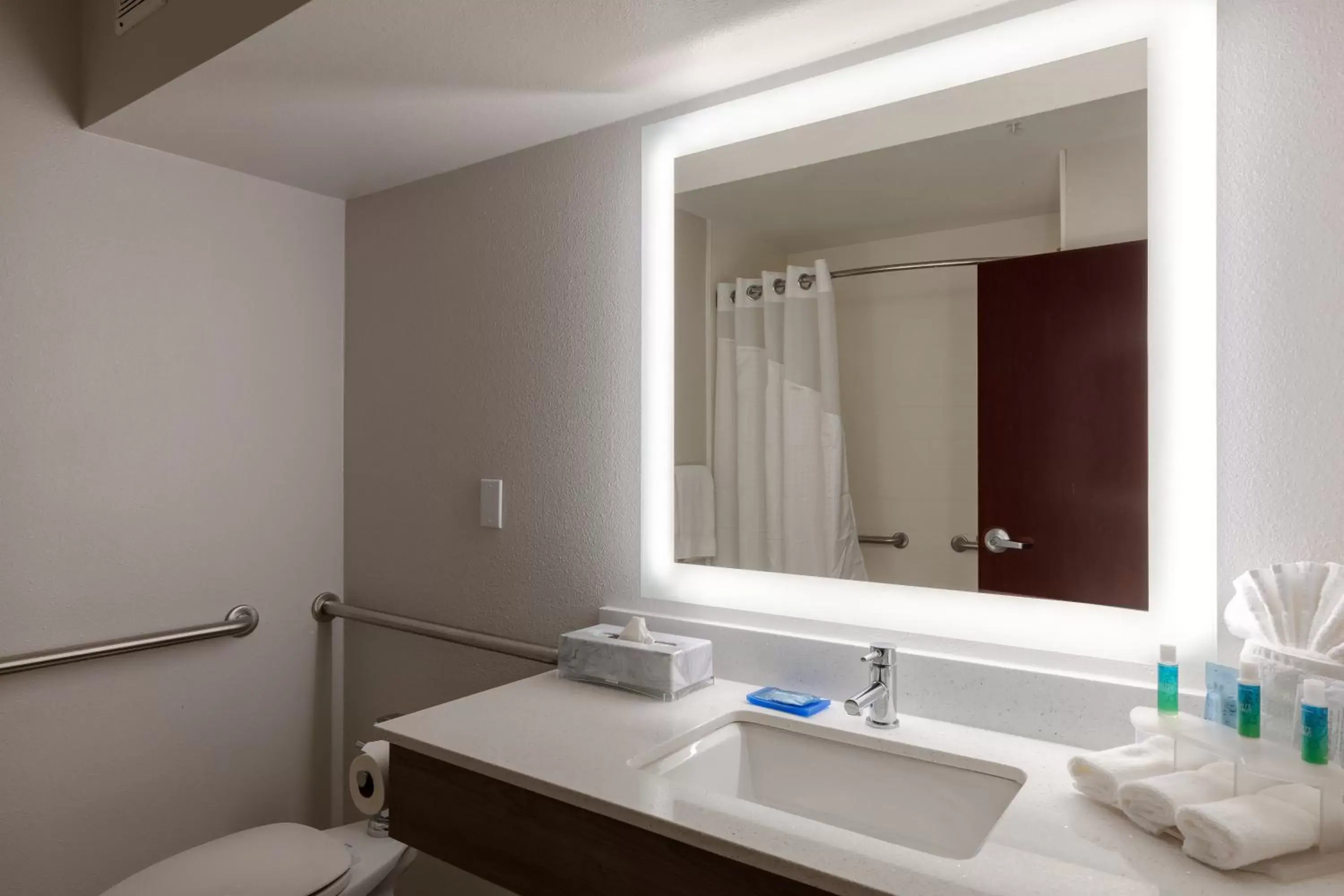 Photo of the whole room, Bathroom in Holiday Inn Express & Suites Milton East I-10, an IHG Hotel