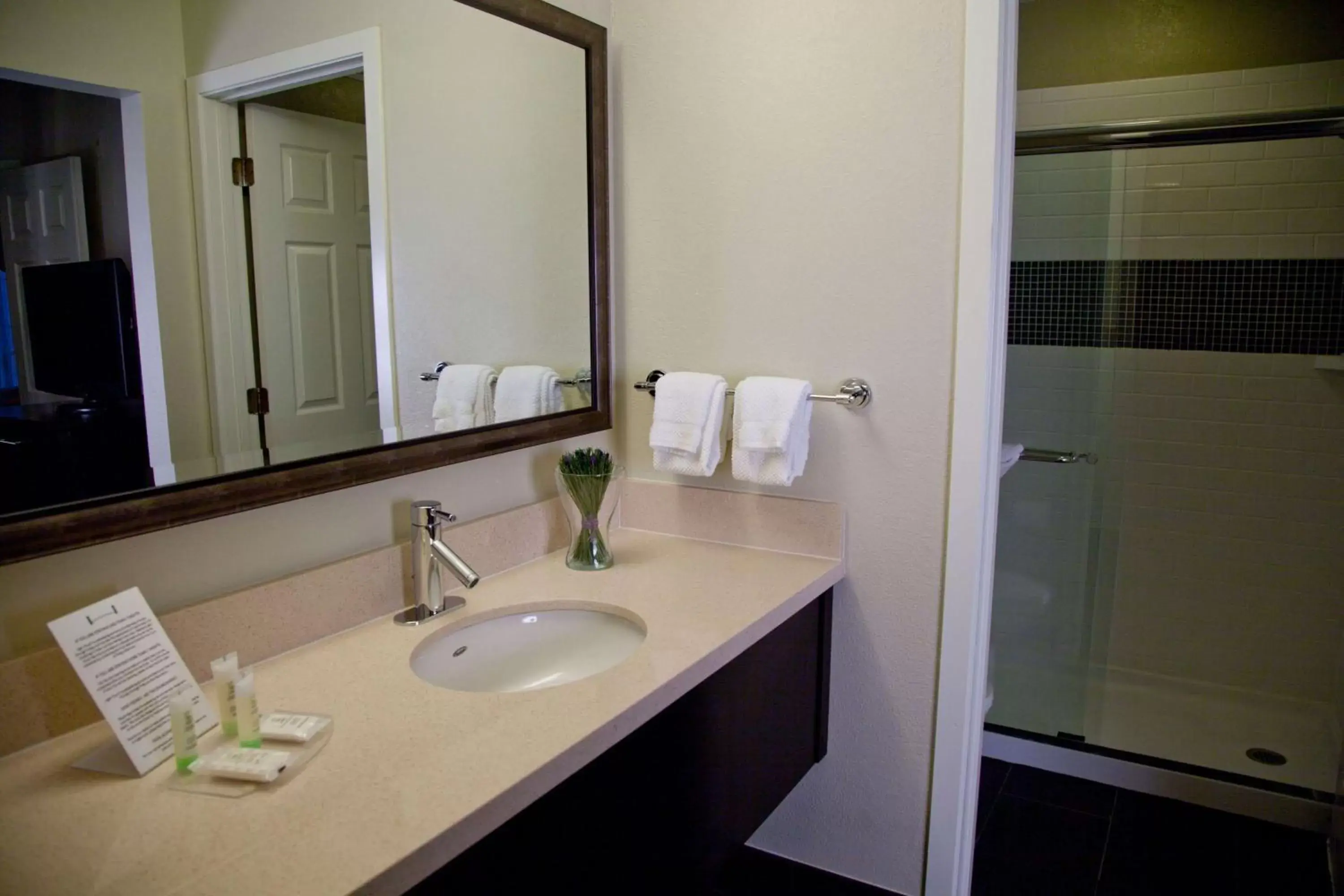 Bathroom in Sonesta ES Suites Toronto Markham