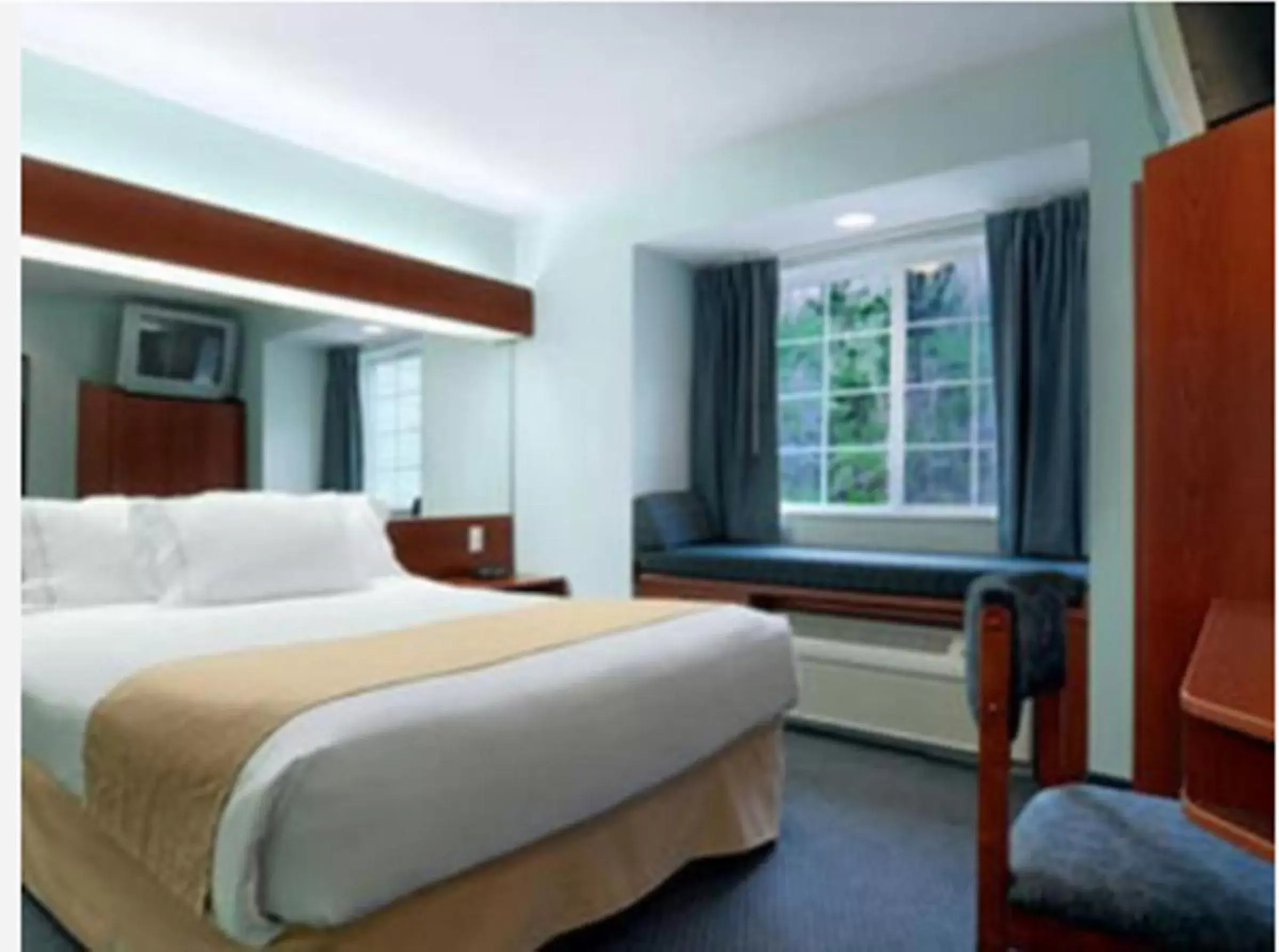 Bedroom, Bed in Microtel Inn & Suites by Wyndham Gardendale