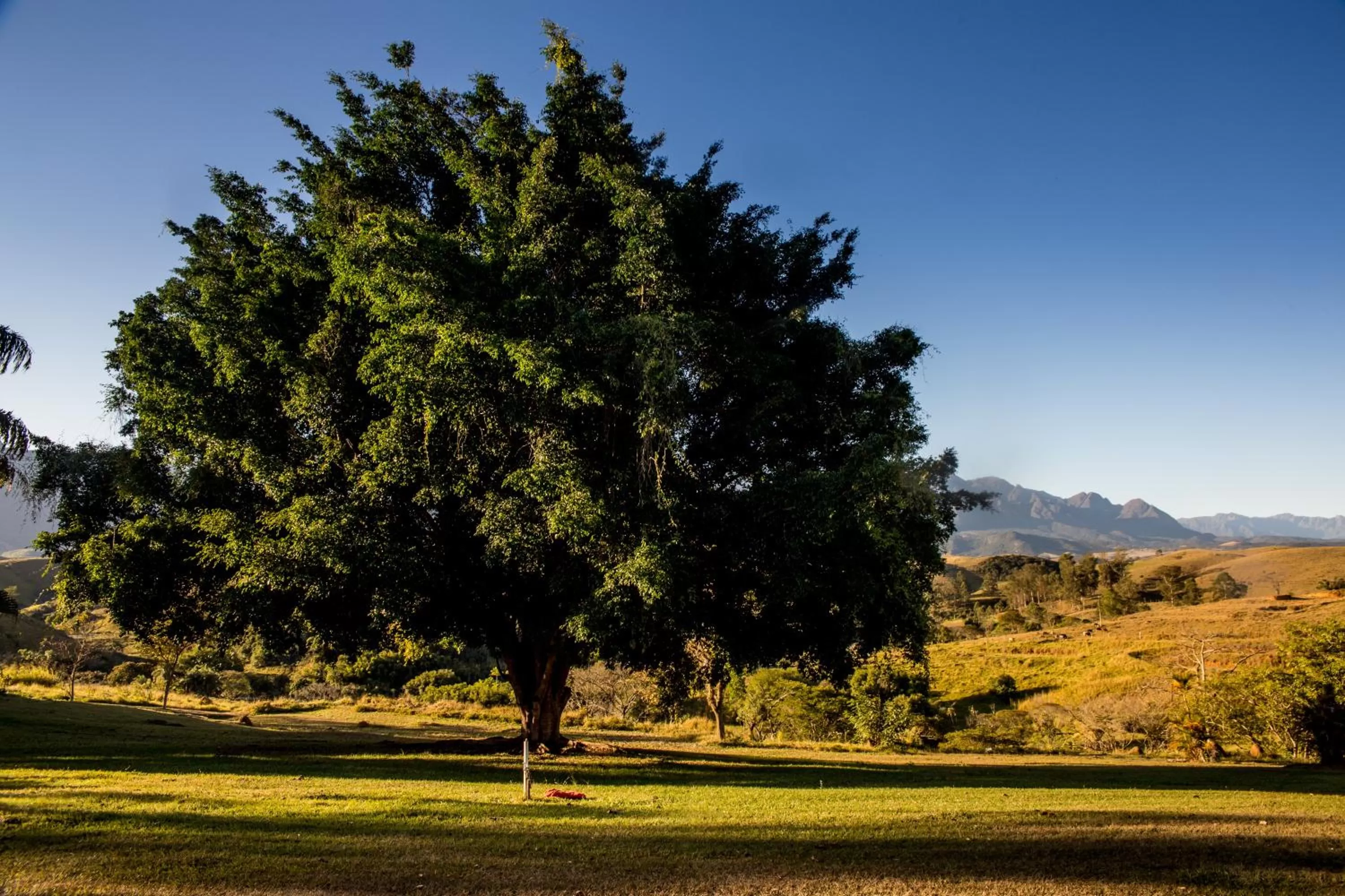 Natural landscape in Pousada Flor da Serra